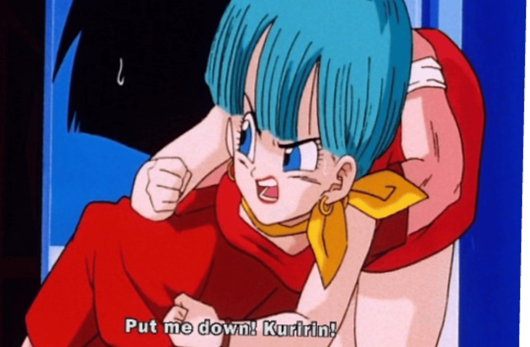Bulma Briefs