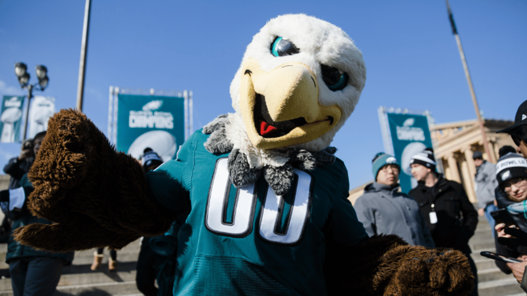 Swoop the eagle