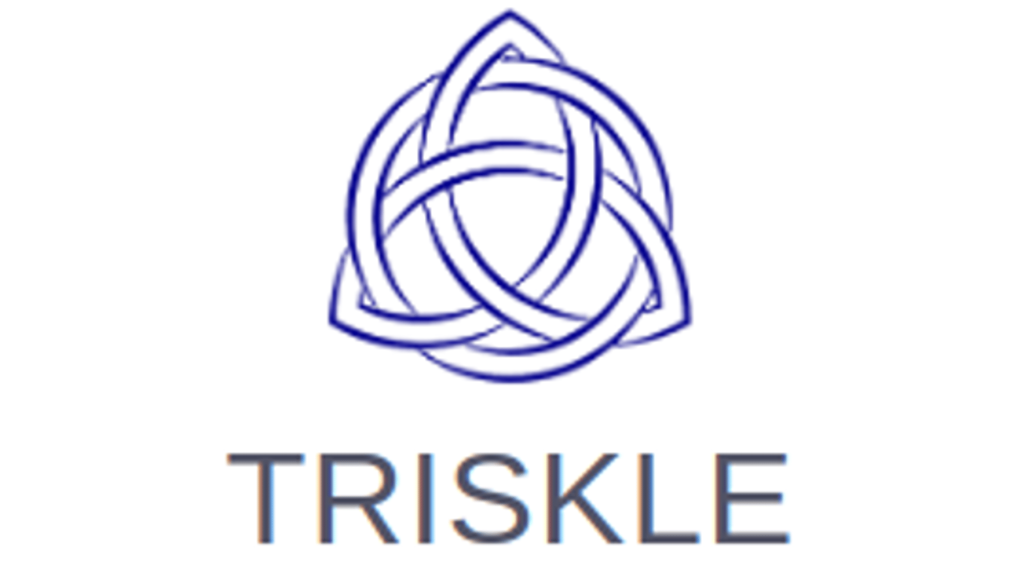 Triskle AI