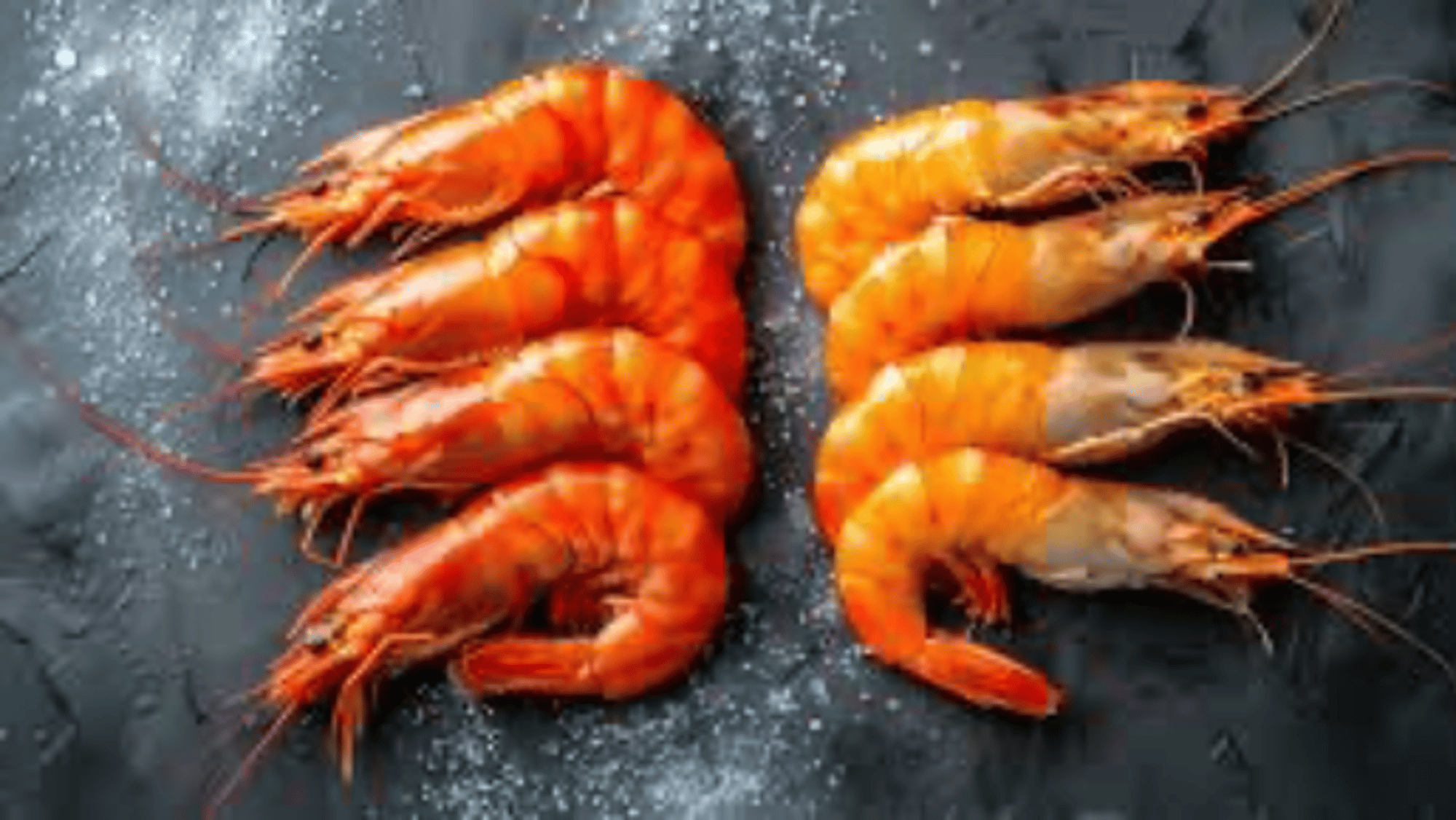 Shrimpo
