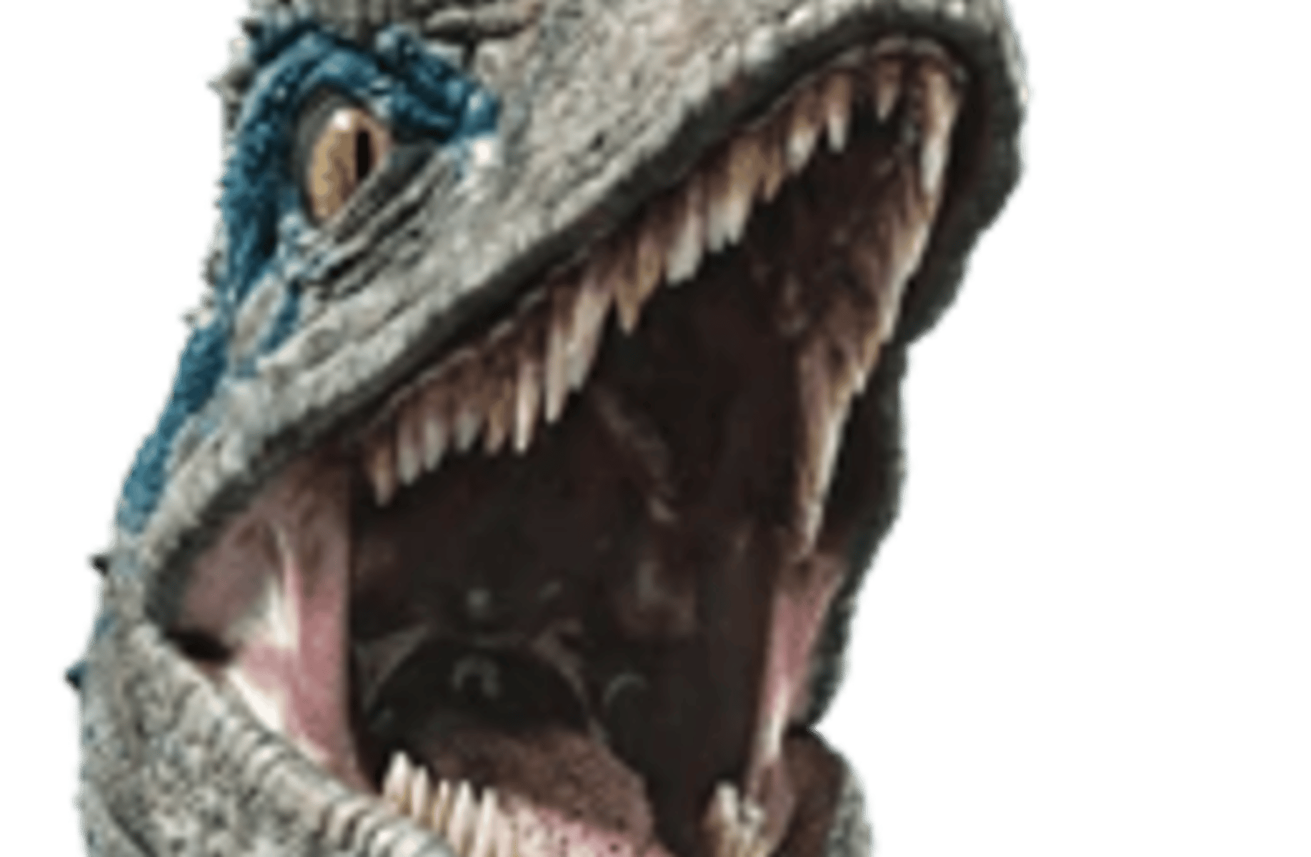 Blue the Velociraptor