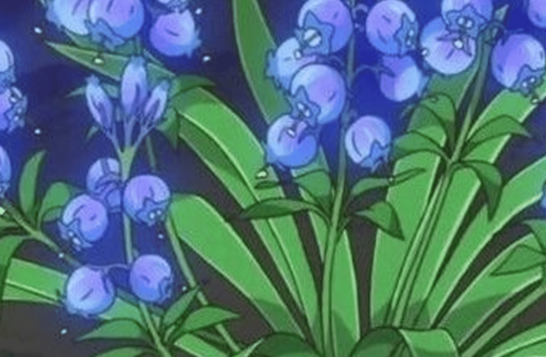 Blu