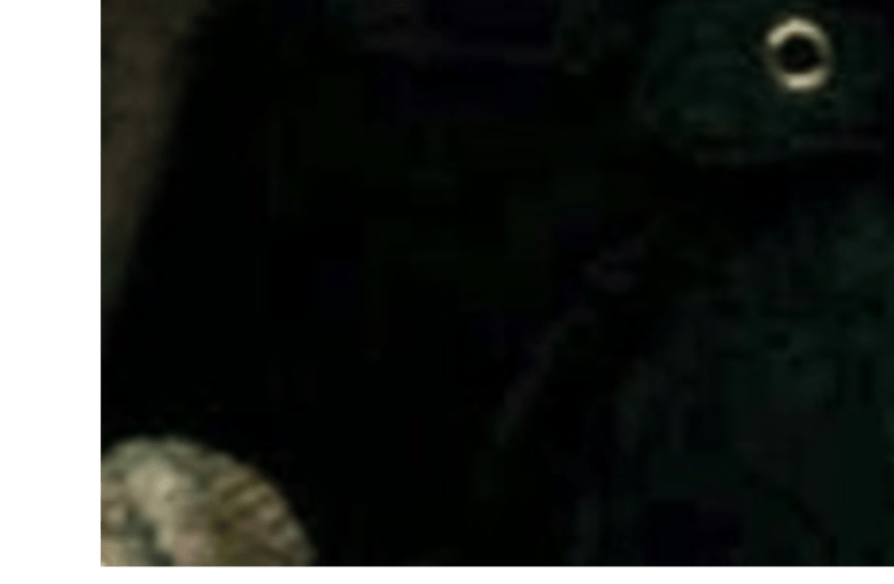 Mad Eye moody