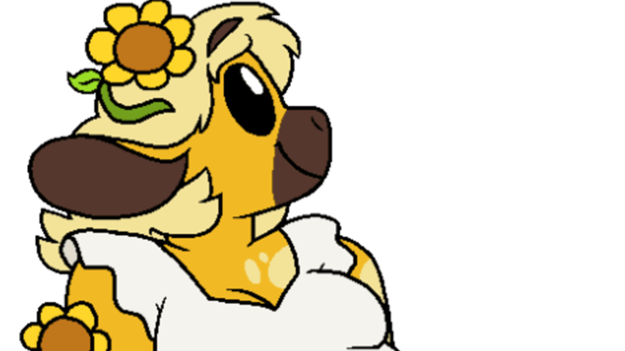 Daisy
