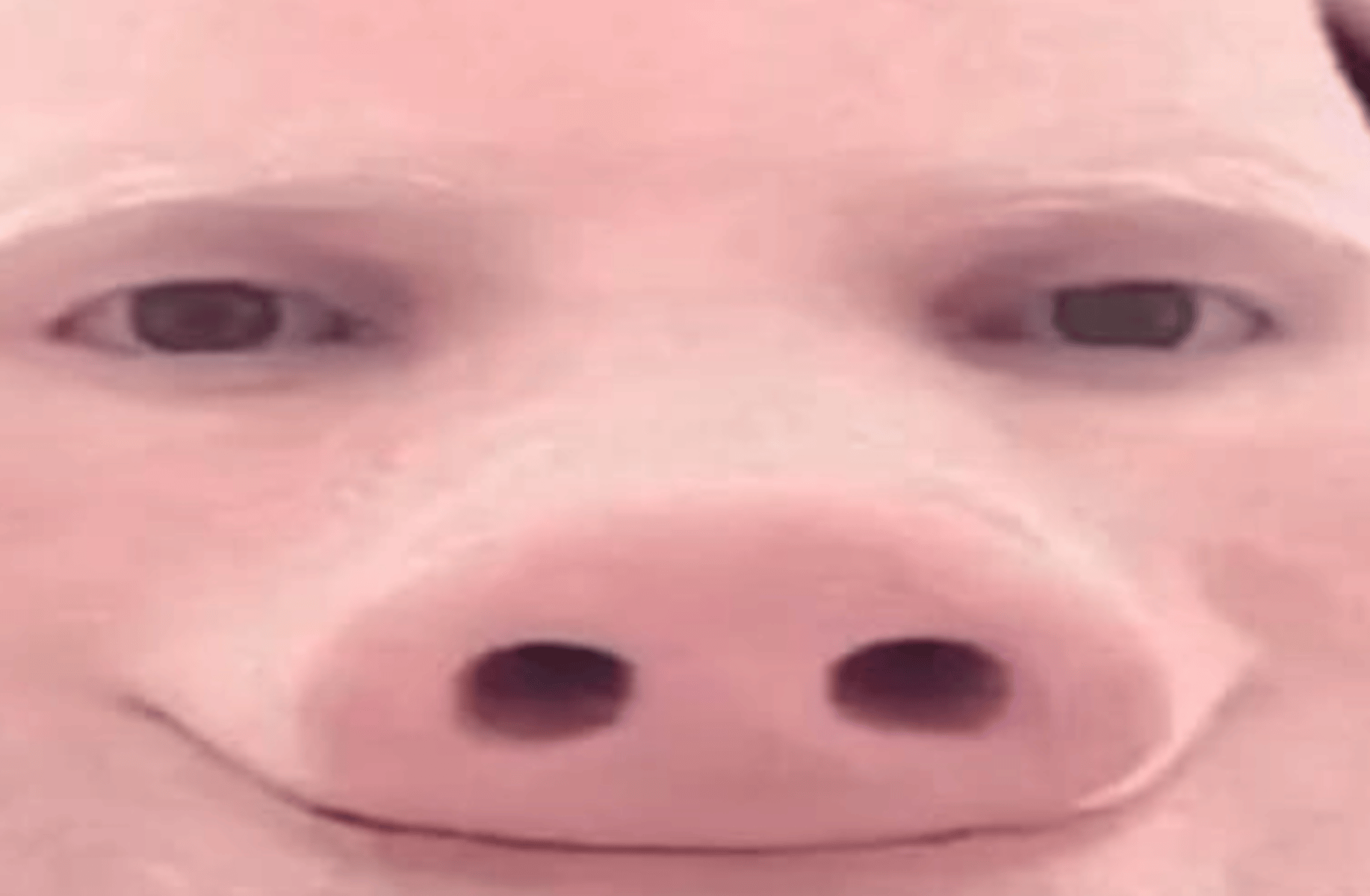 Jim