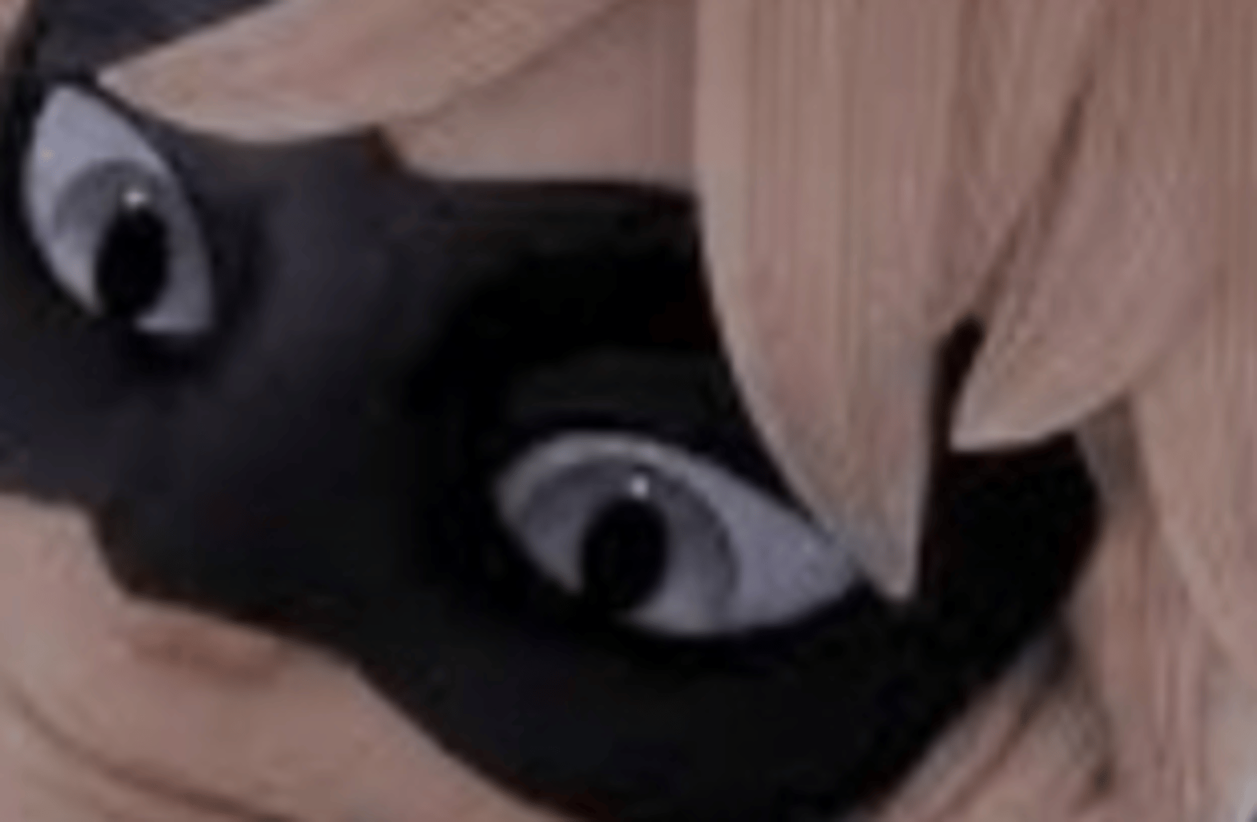Chat Noir