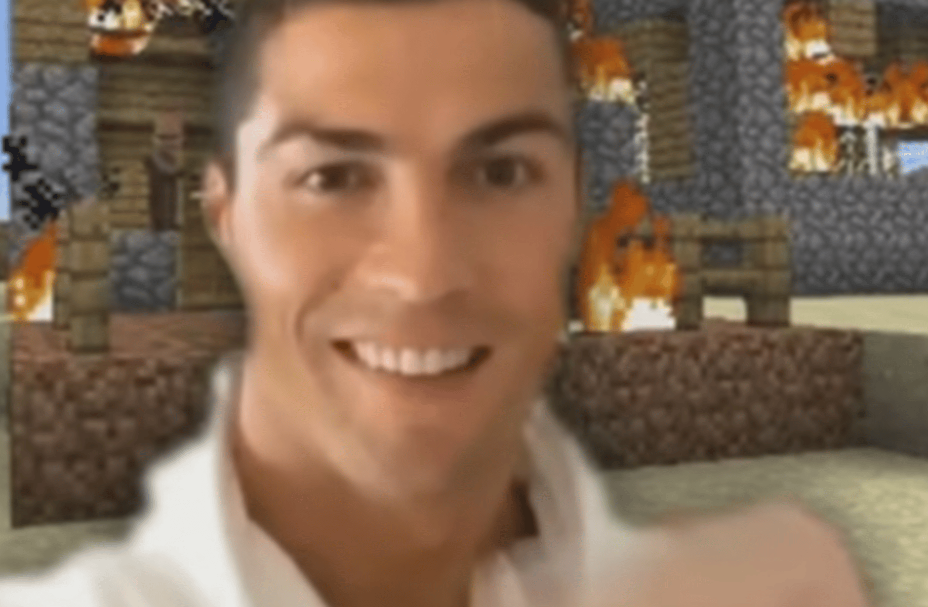 Bot