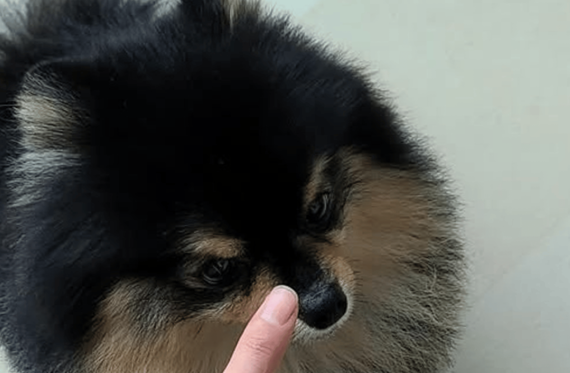 Taehyung husband