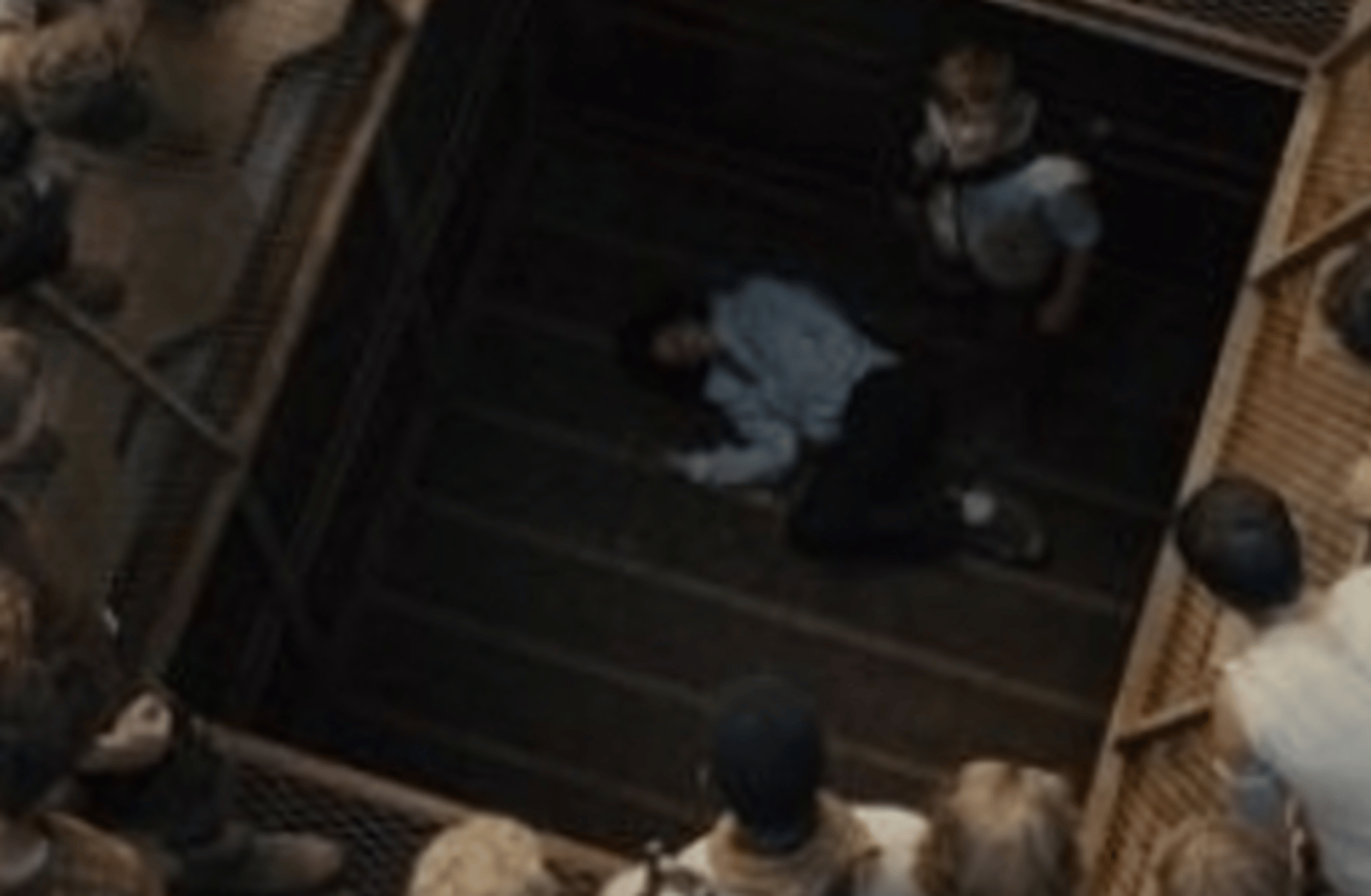 Newt