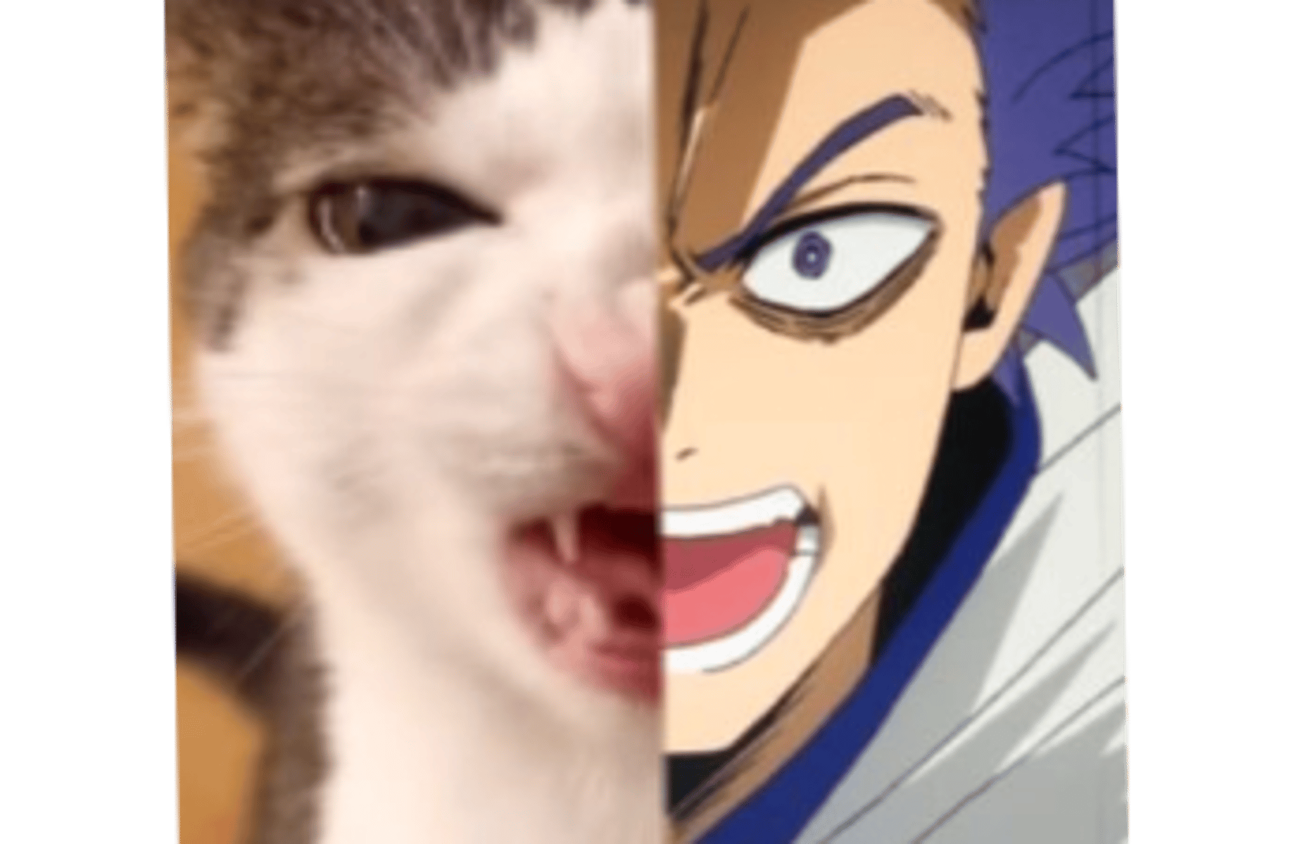 Hitoshi shinso