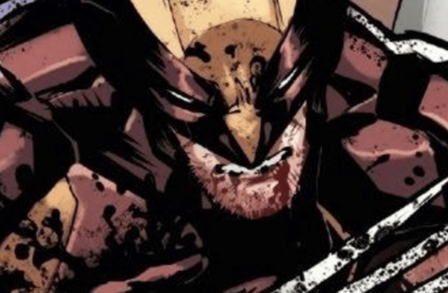 Wolverine