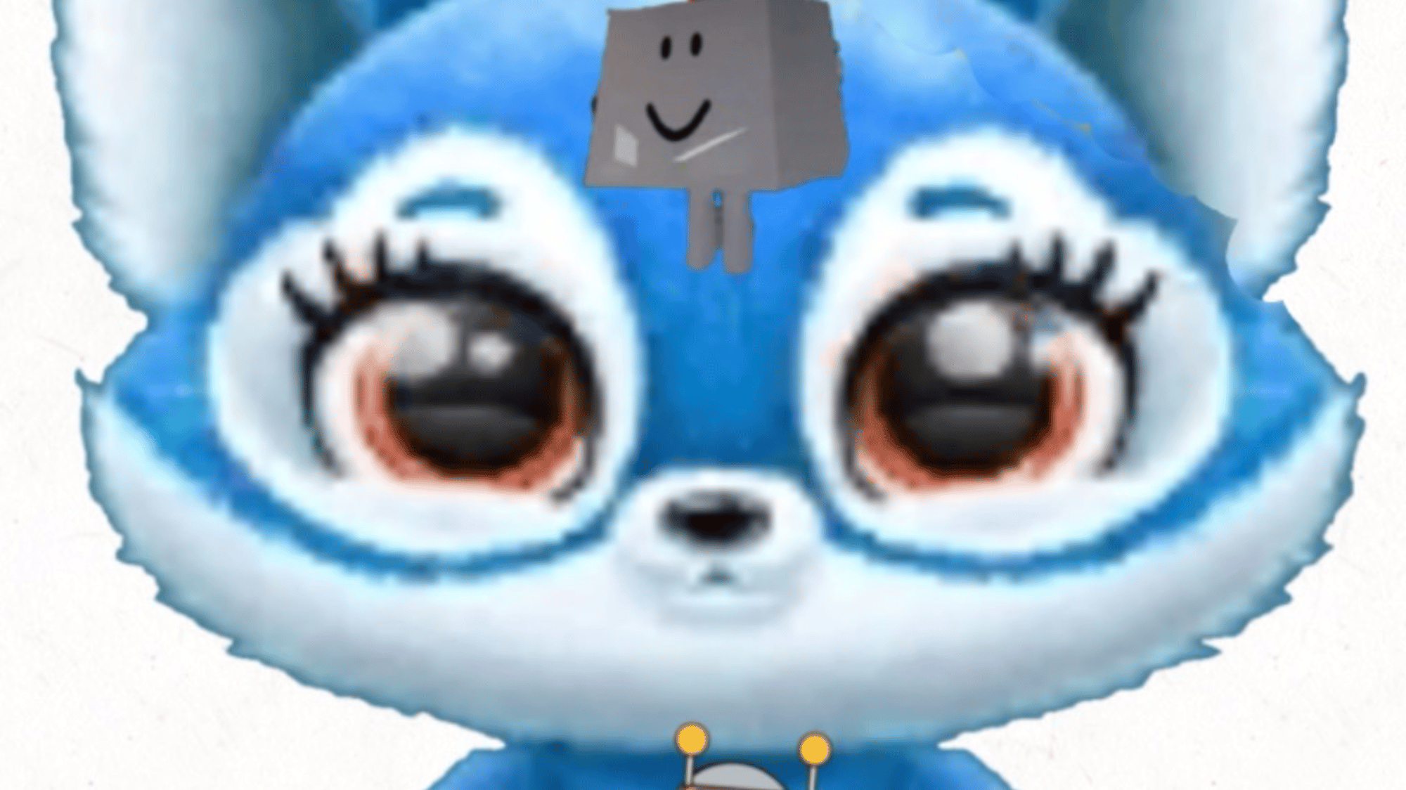 Roblox Hater