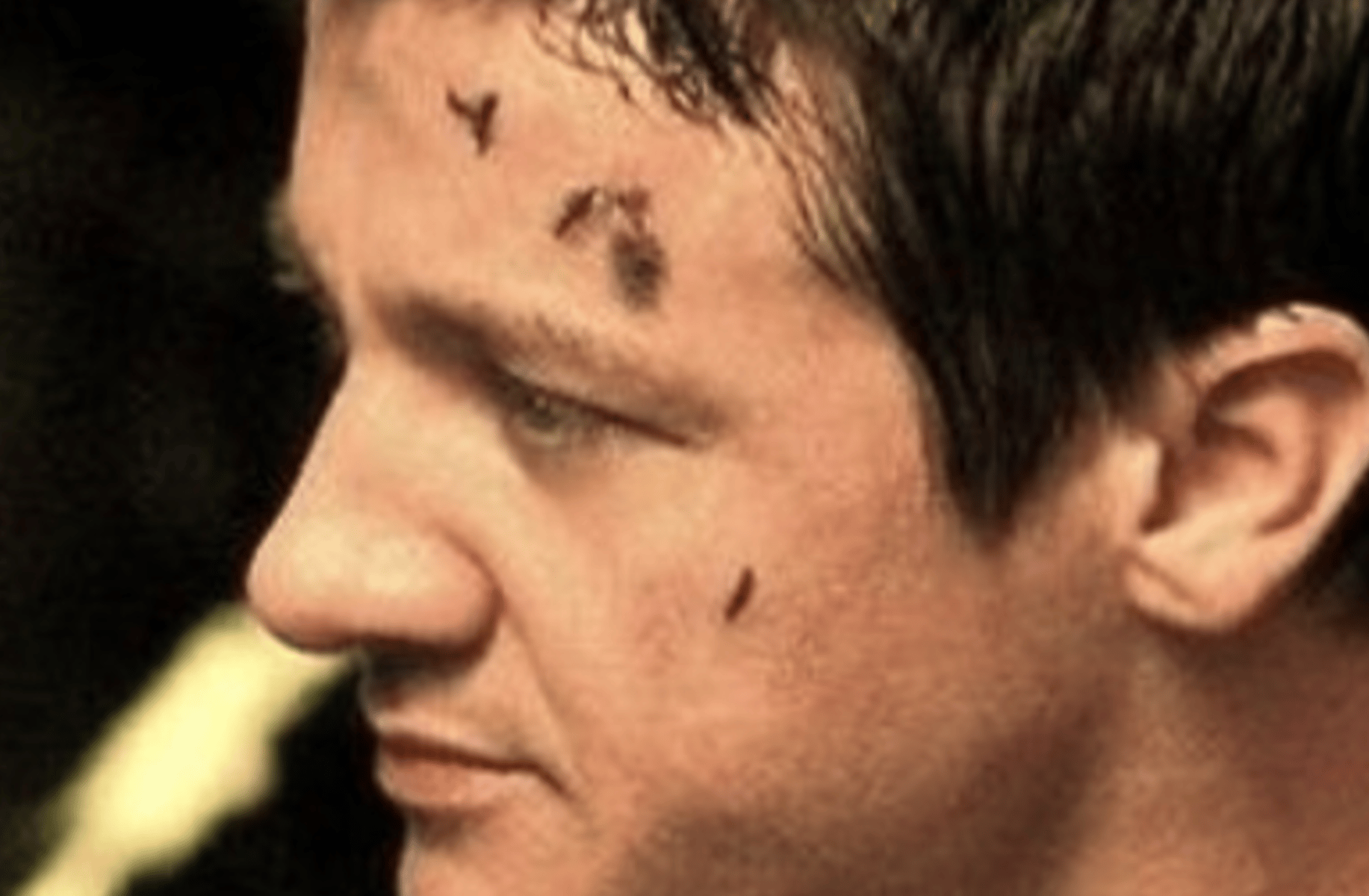Jeremy Renner