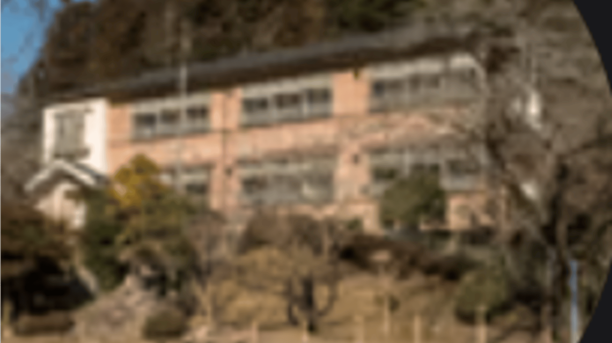 Gangster high school