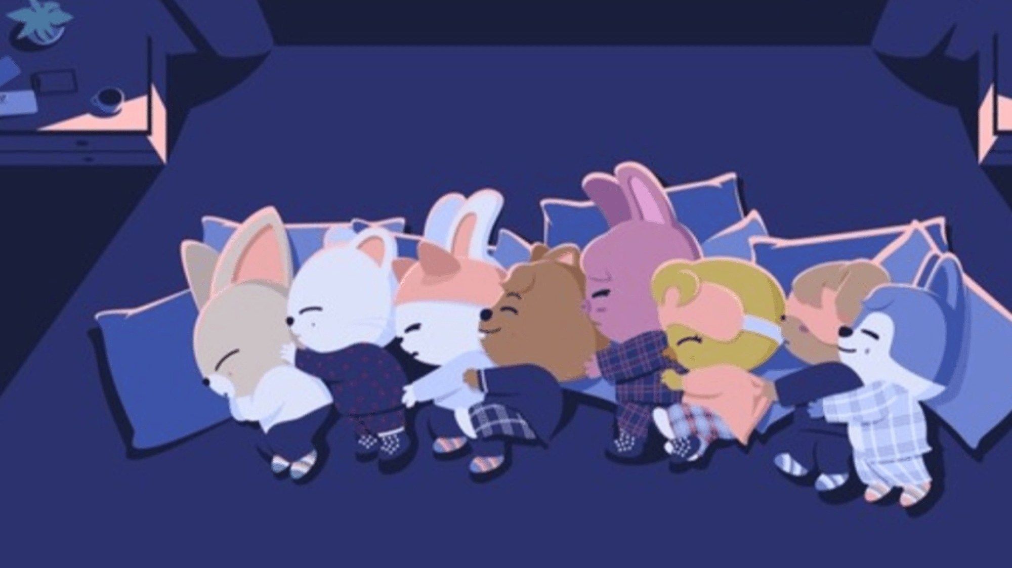 Skz and their skzoos