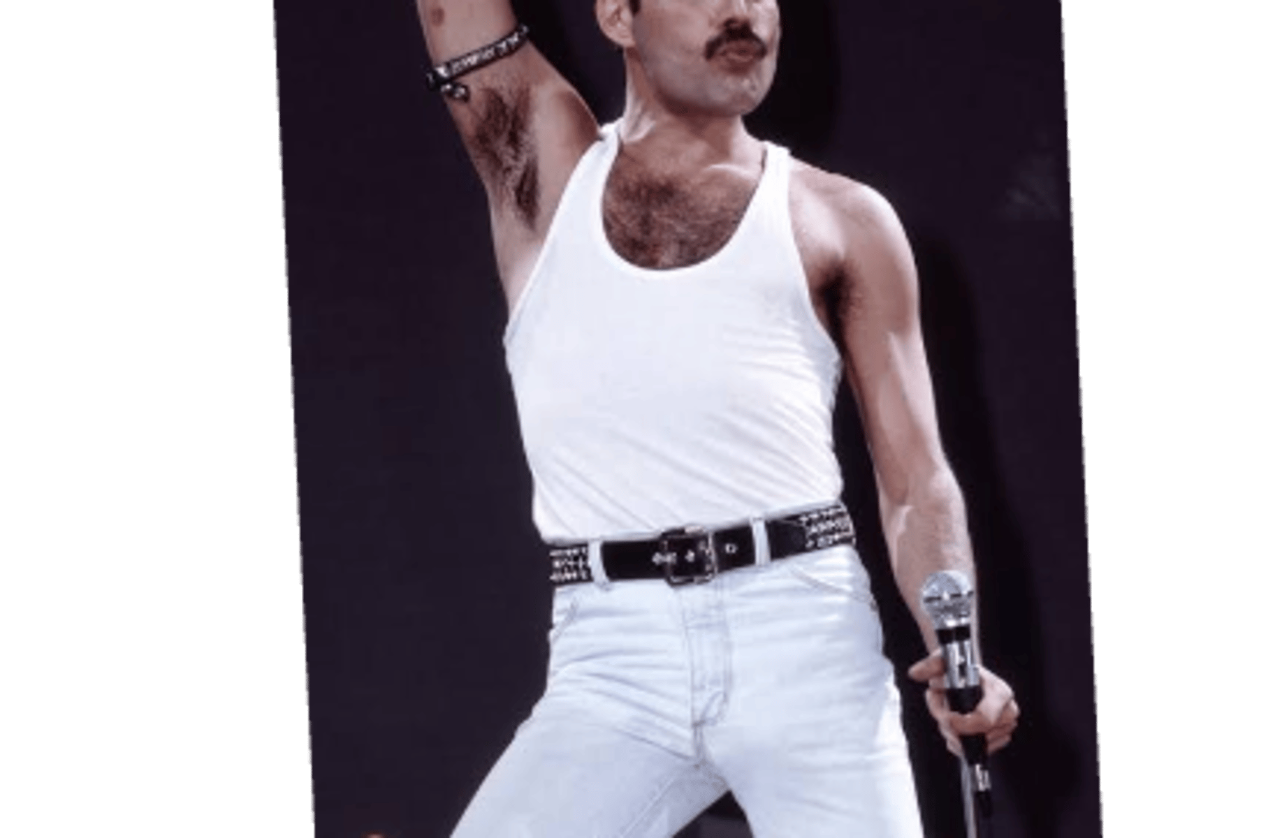 Freddie mercury