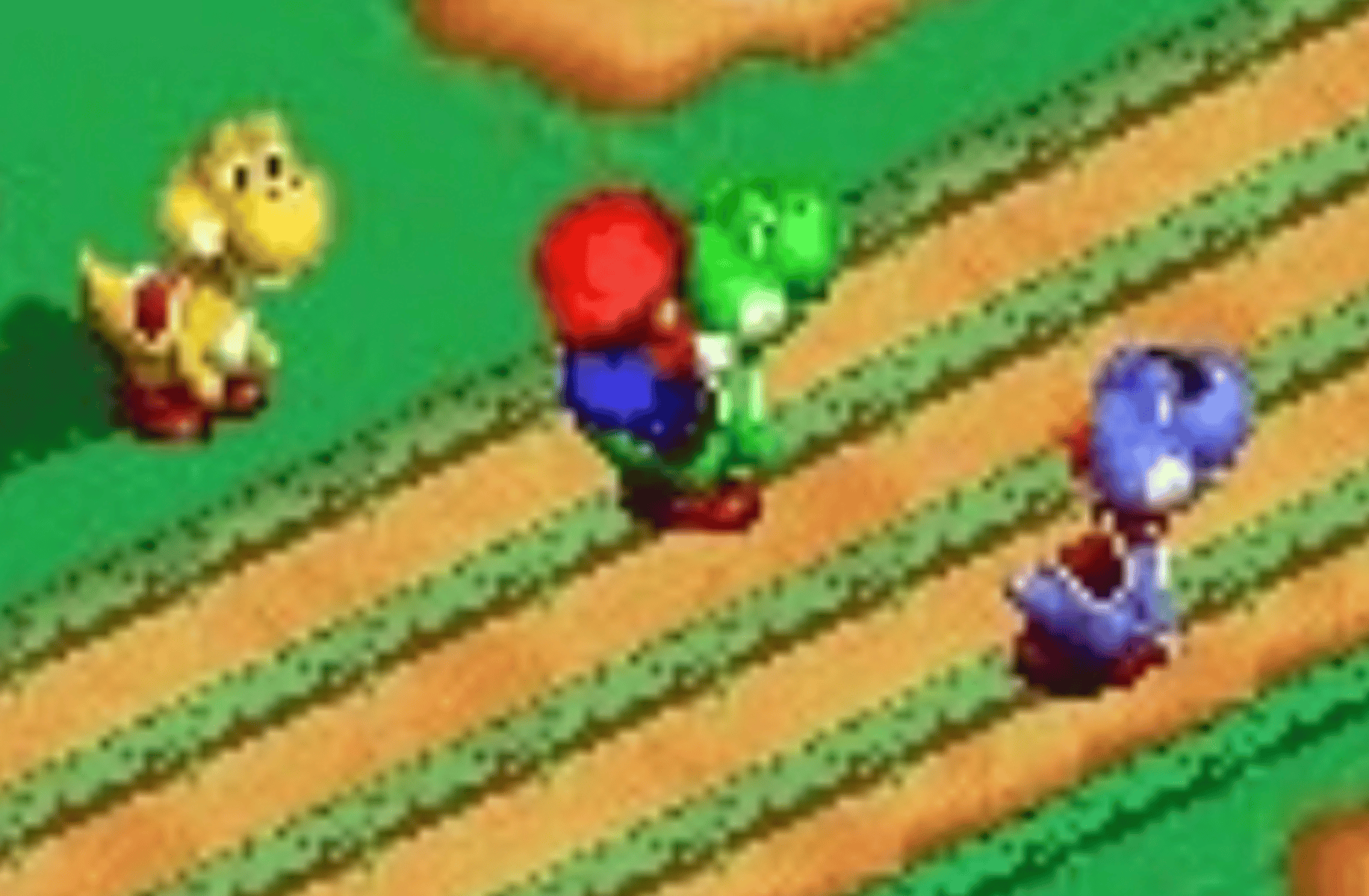 Boshi