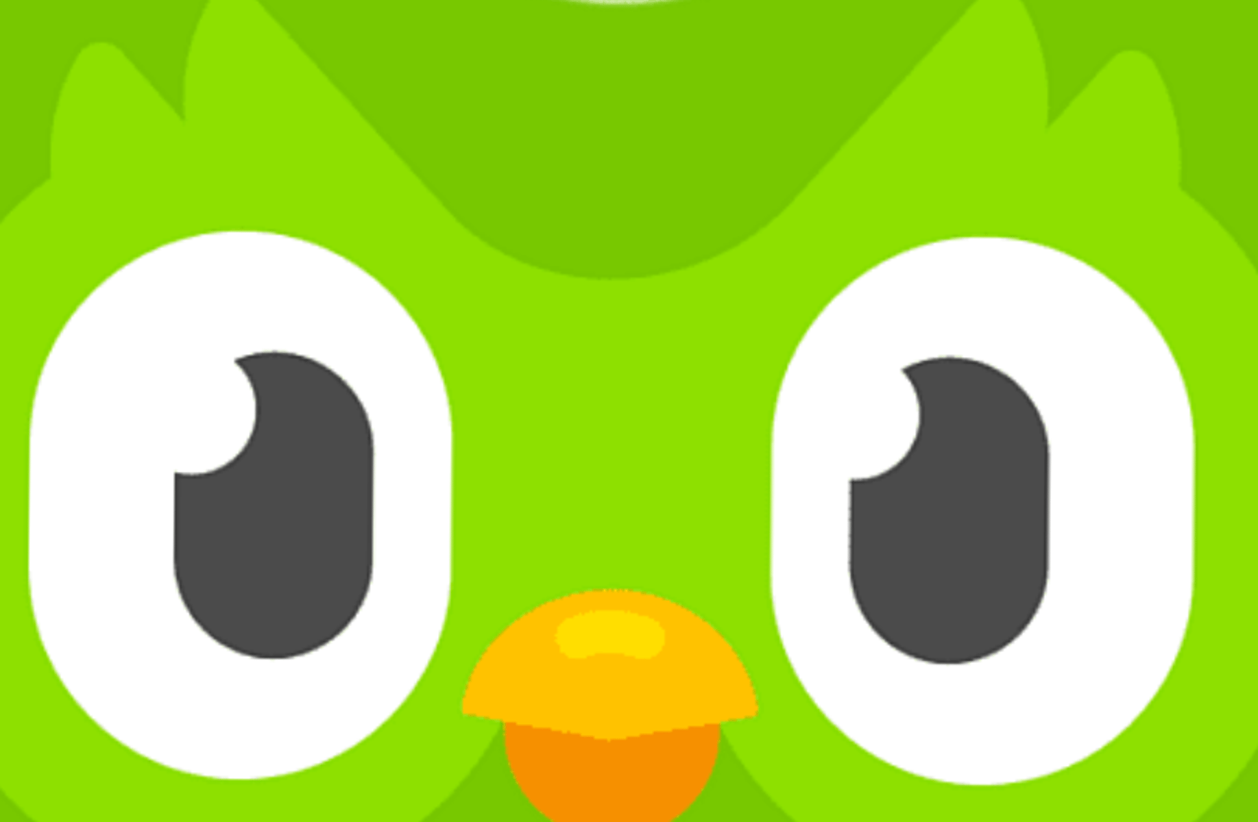 Duolingo Angry