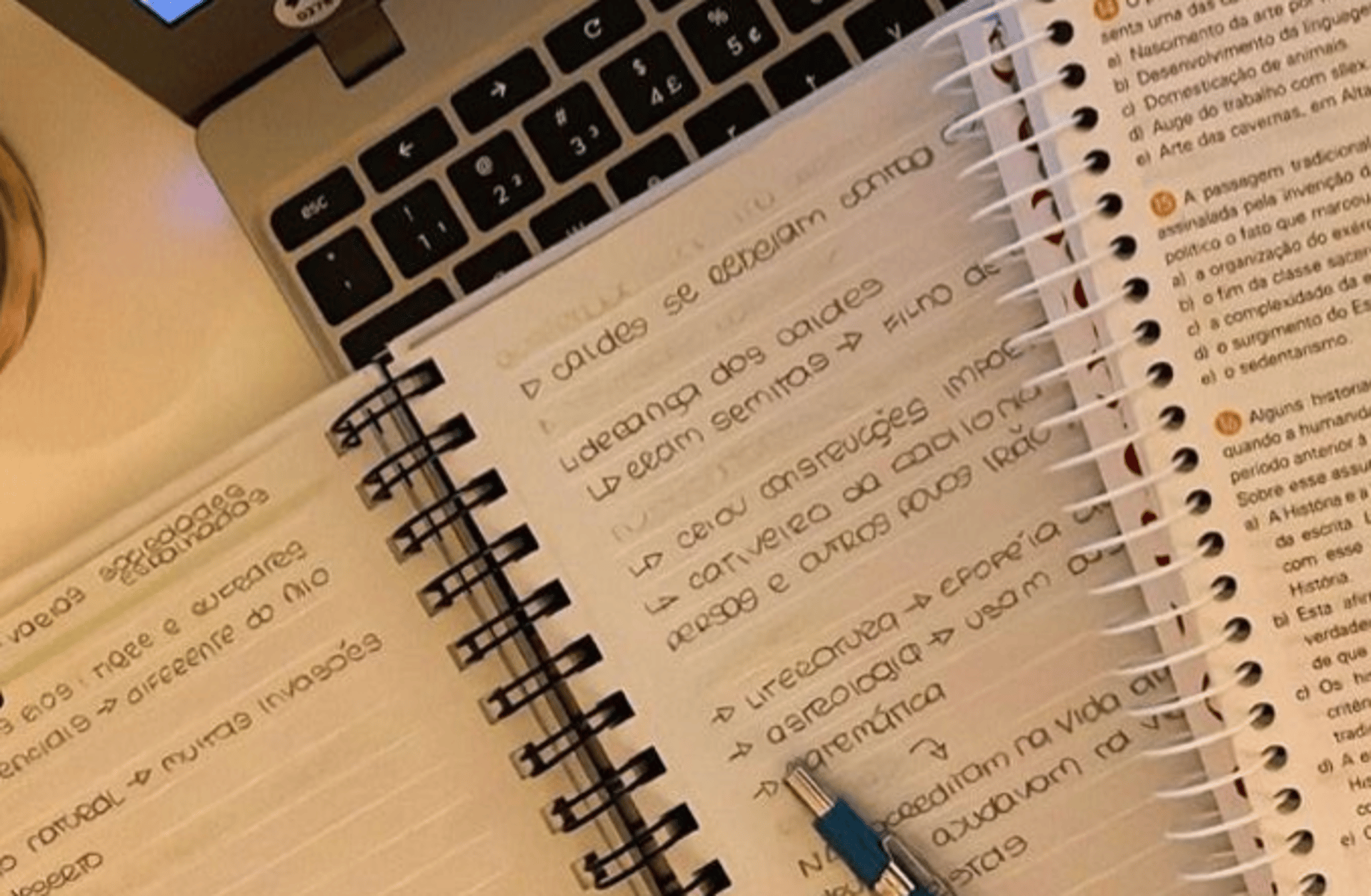 Study AI