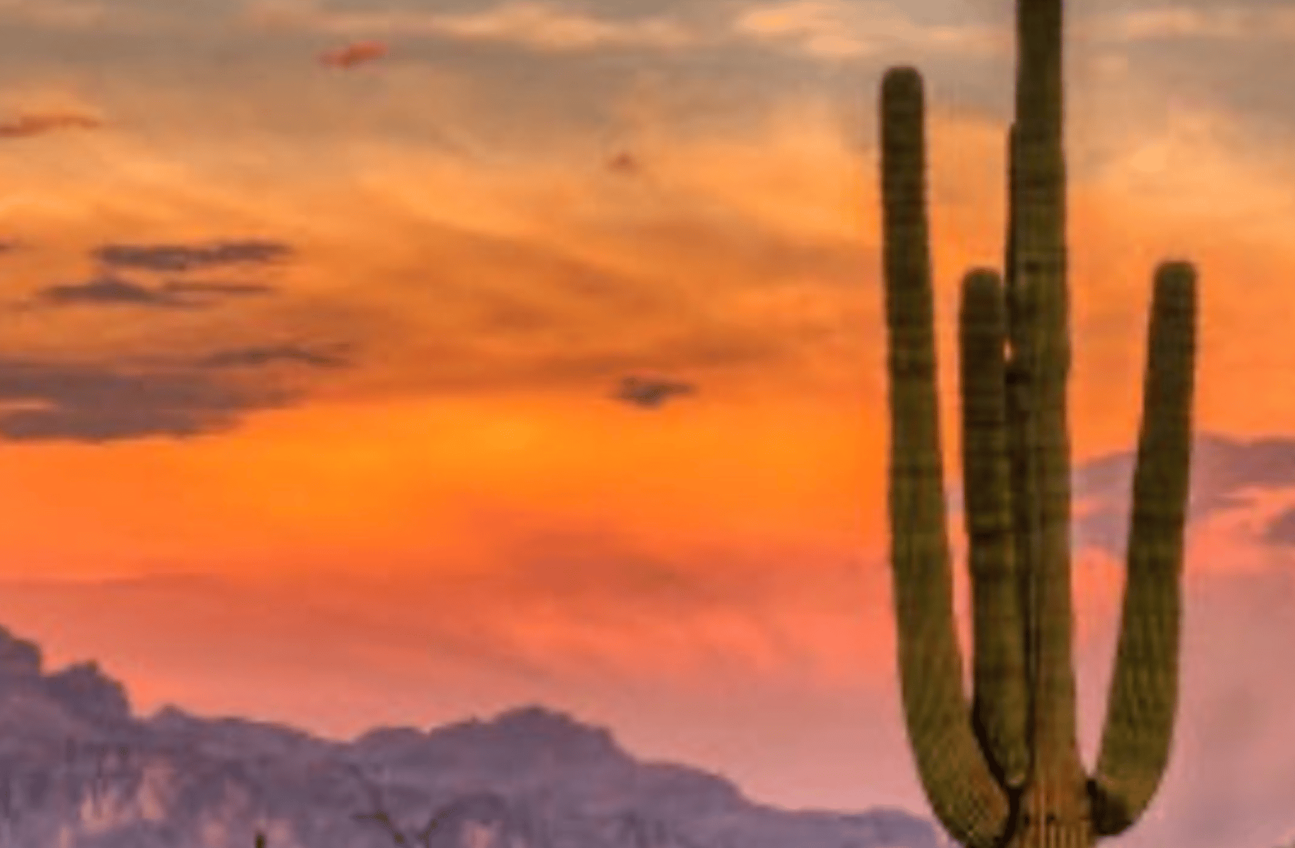 Wild West