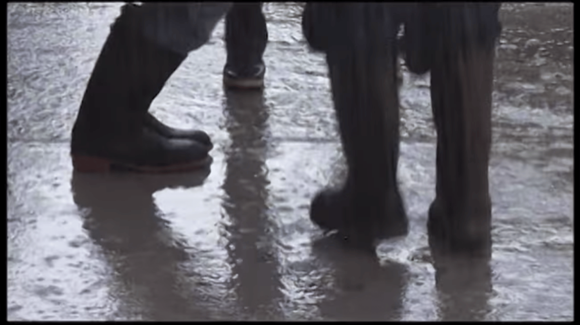Rain goers