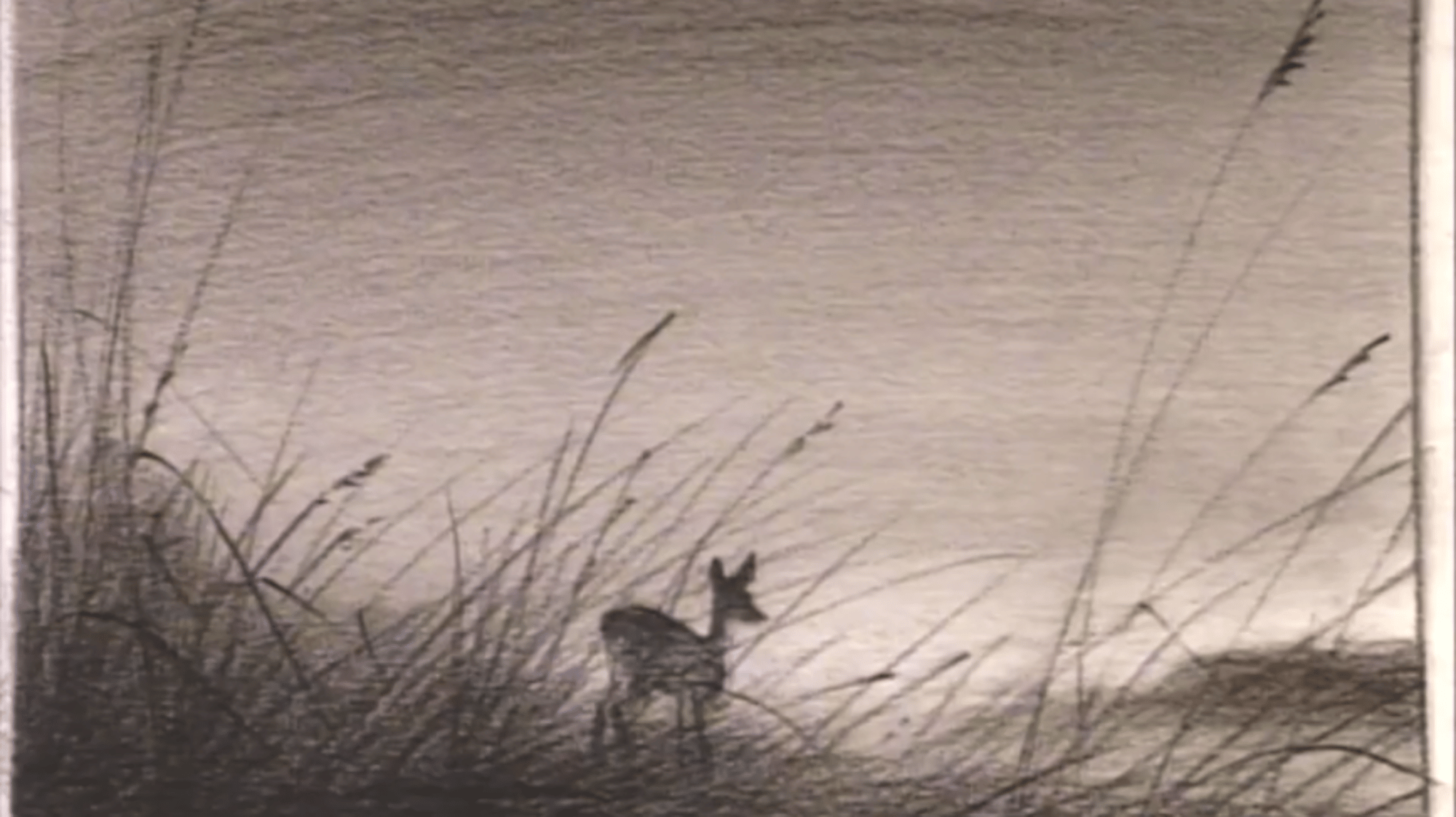 Bambi