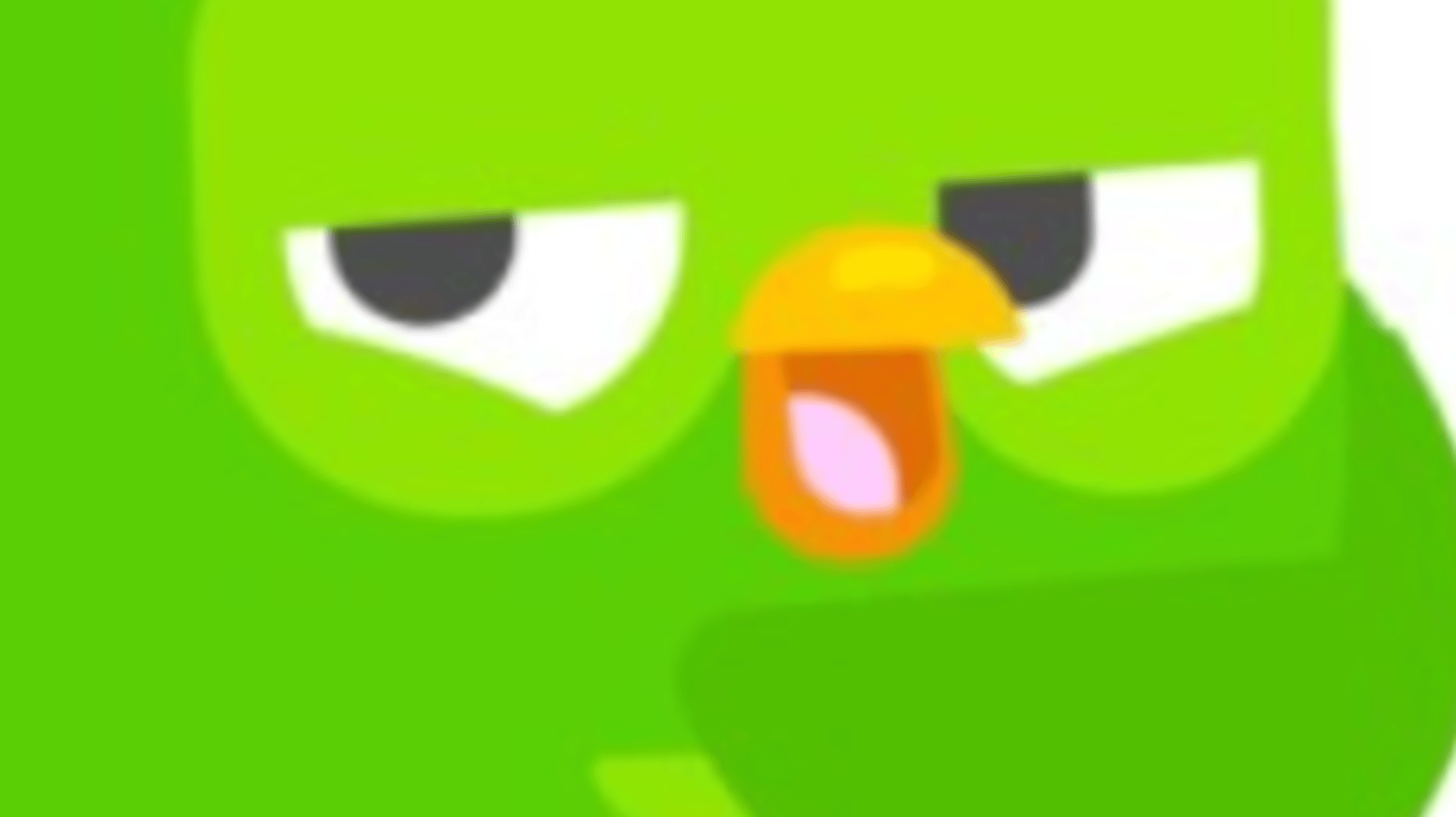 Duo