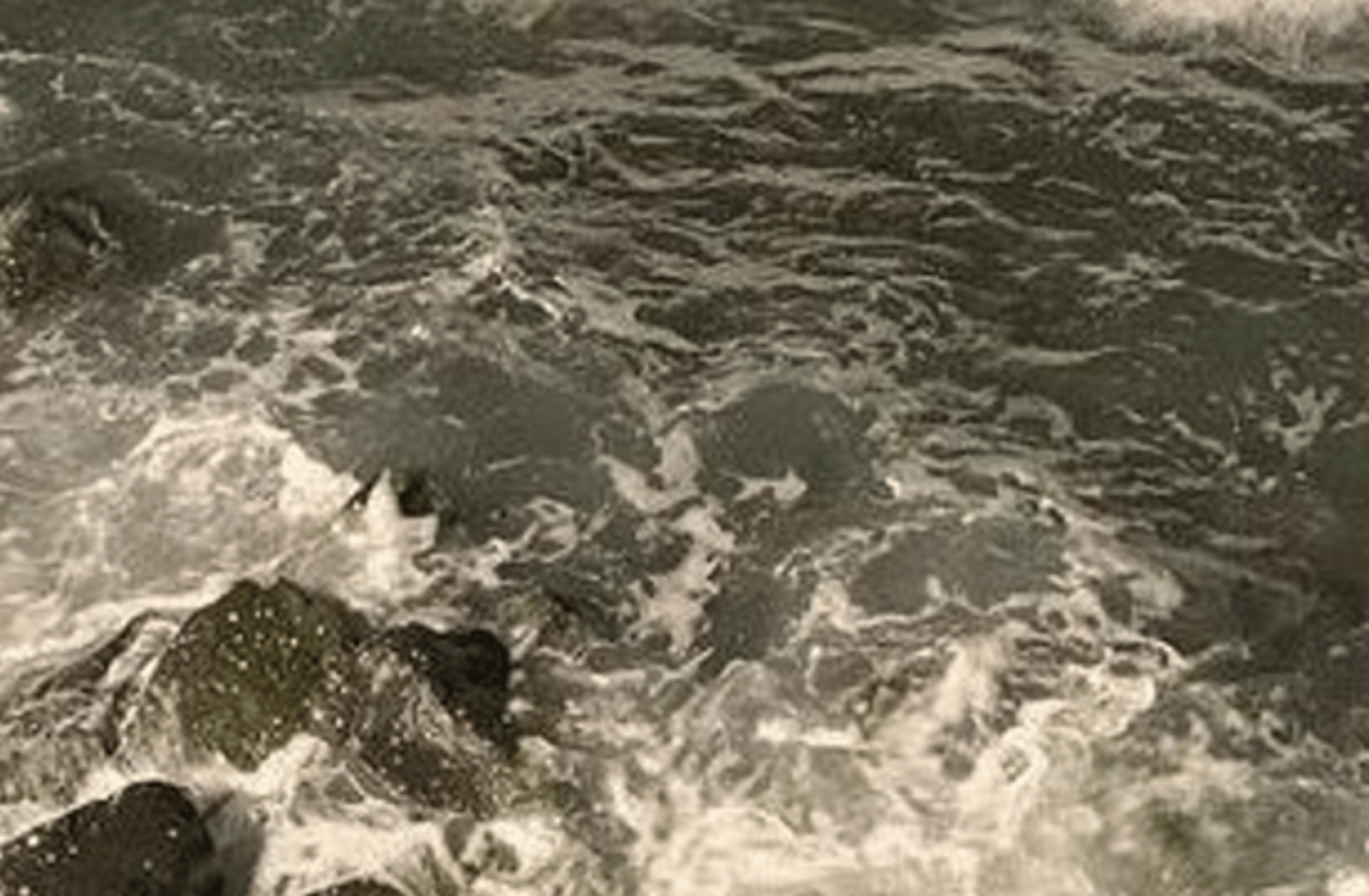 Denki kaminari (Assassin)