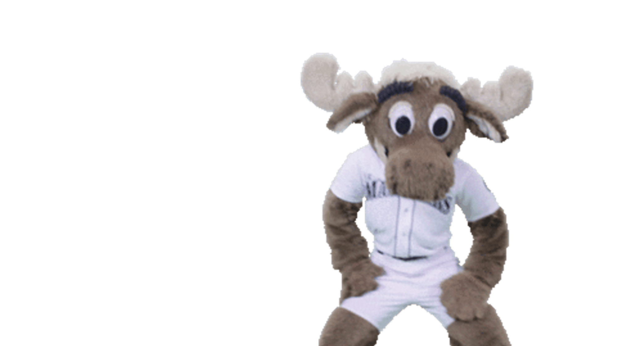 Mariner moose