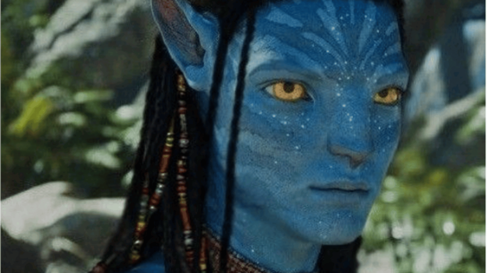 Neteyam sully
