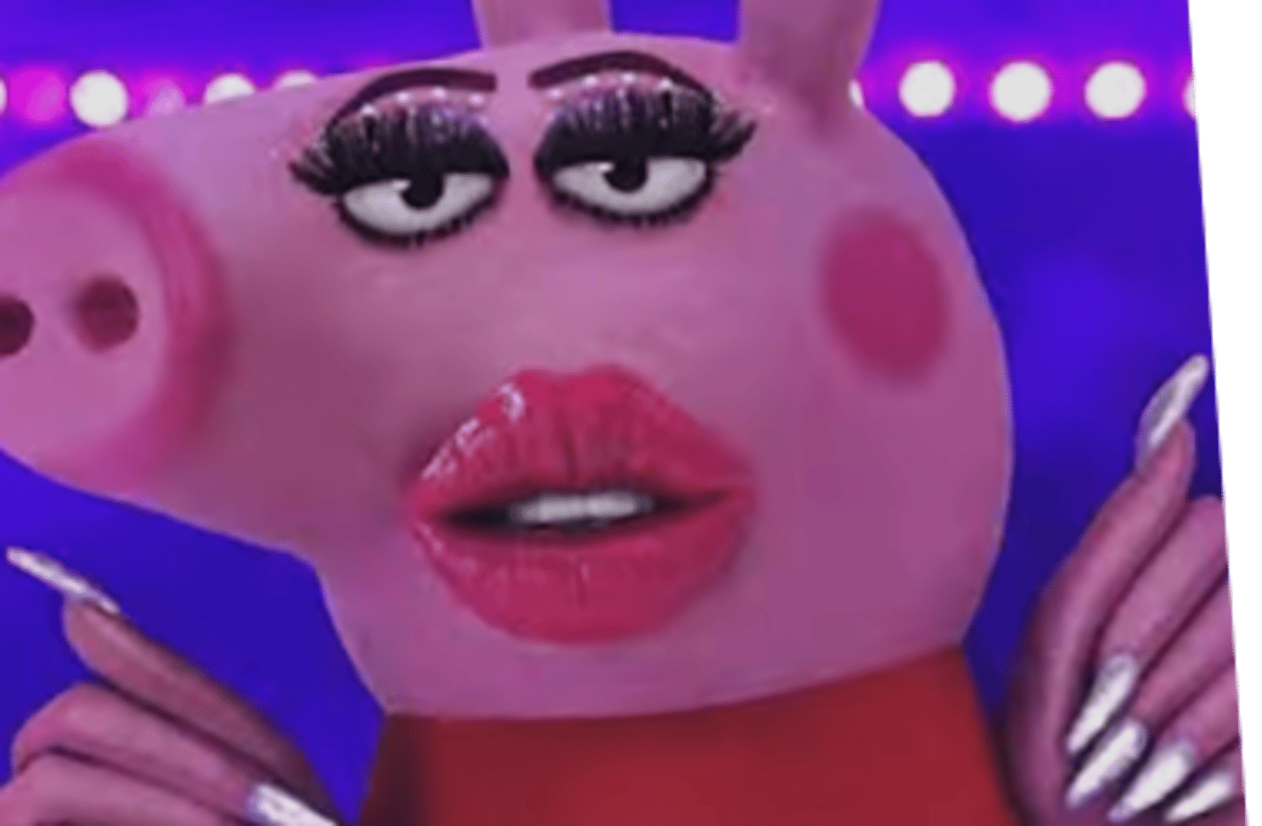 Karen pig