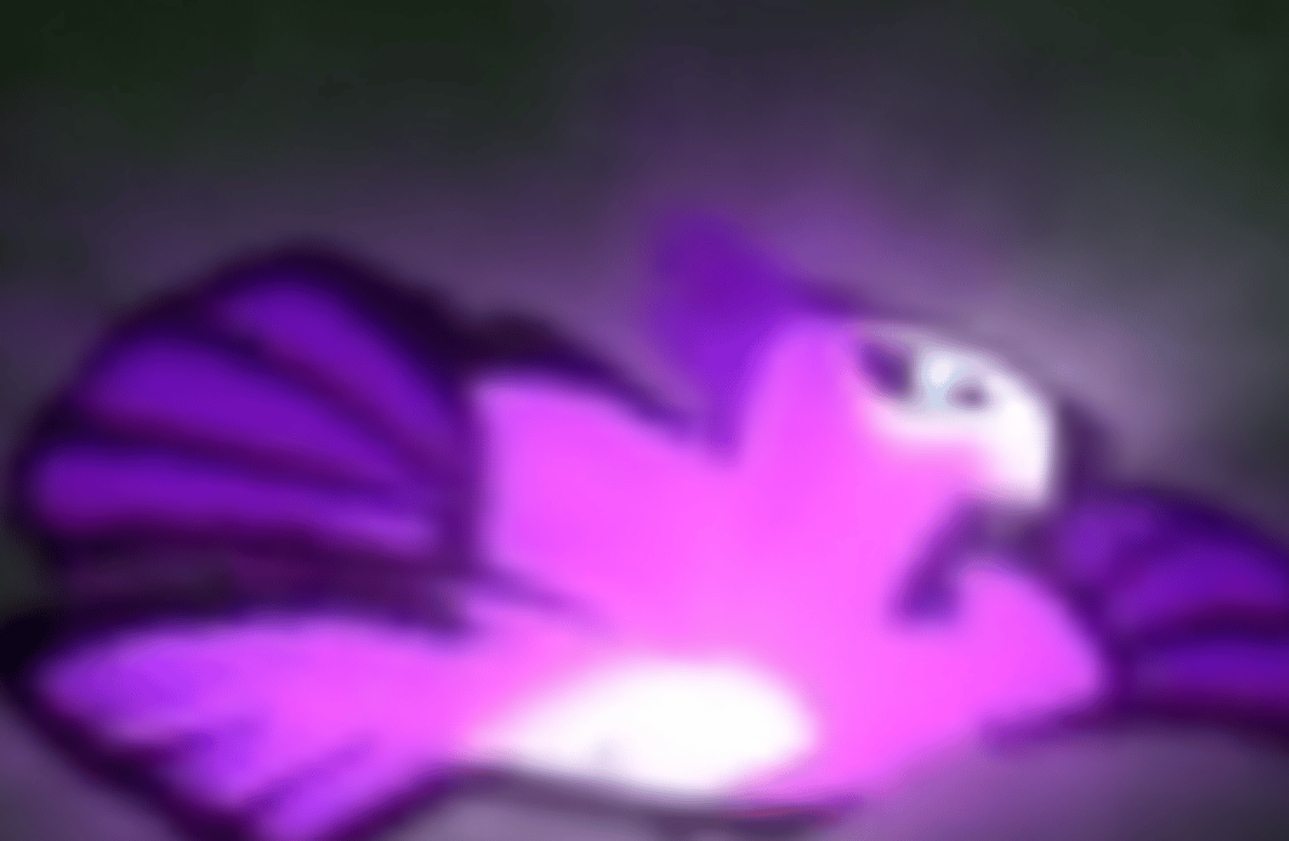 Anga