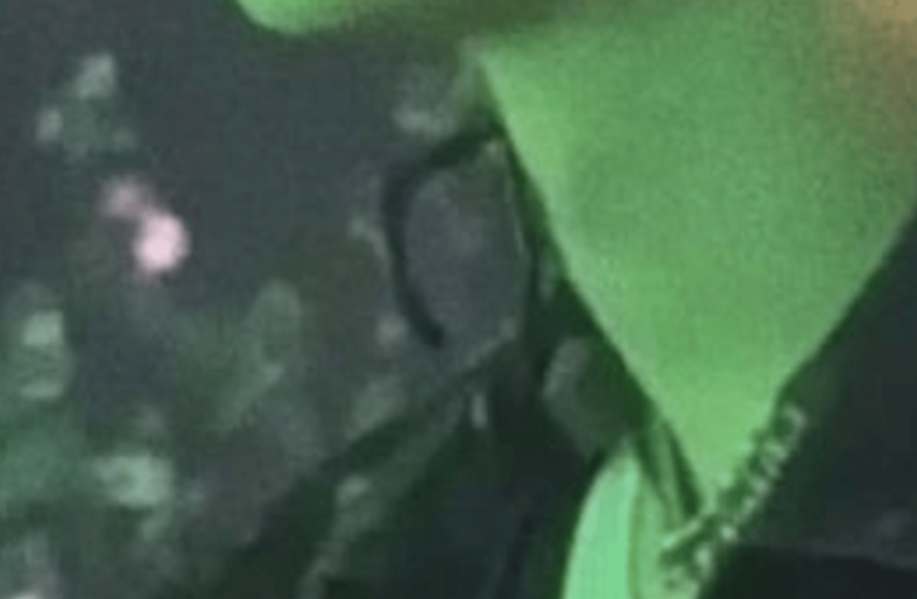 felix