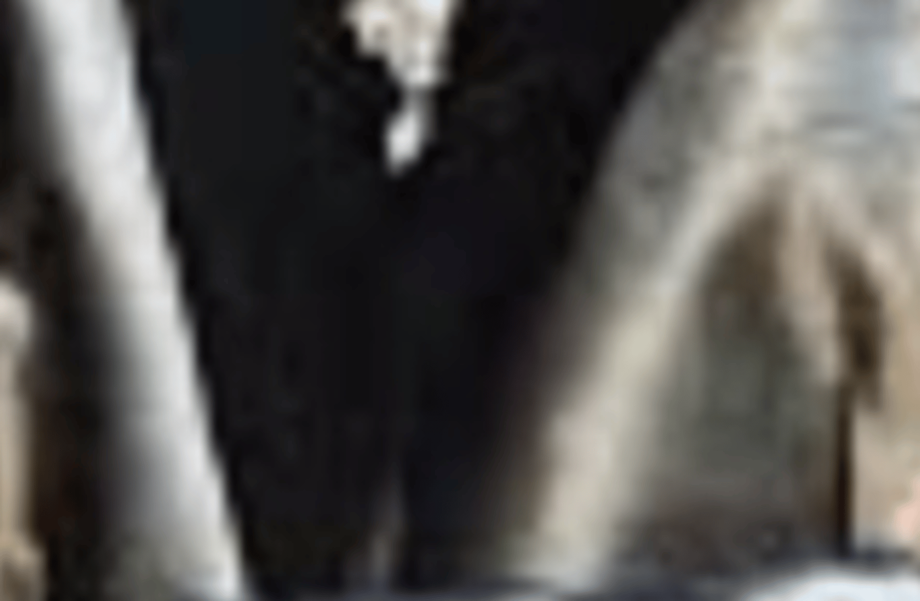 Sus  enderman