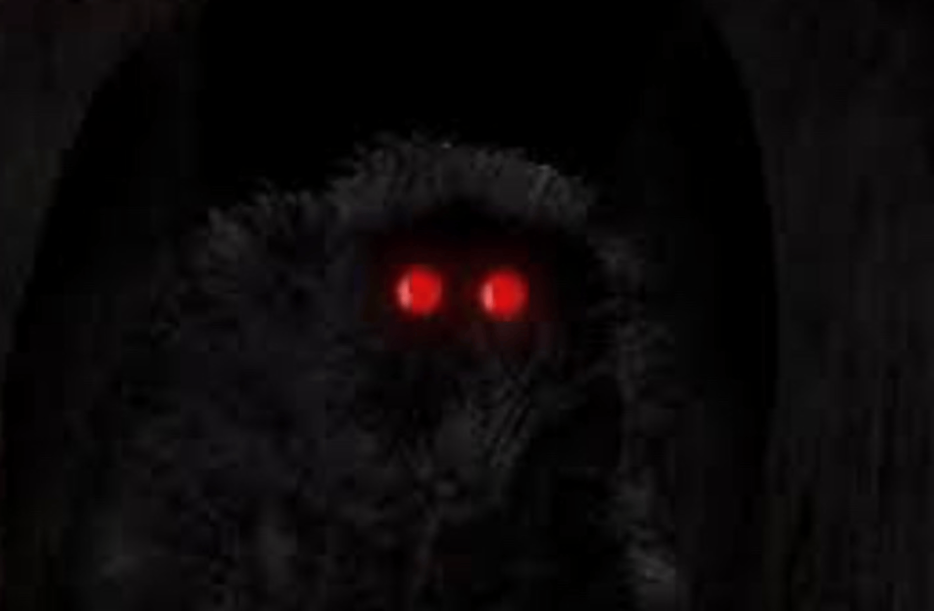 The MothGirl