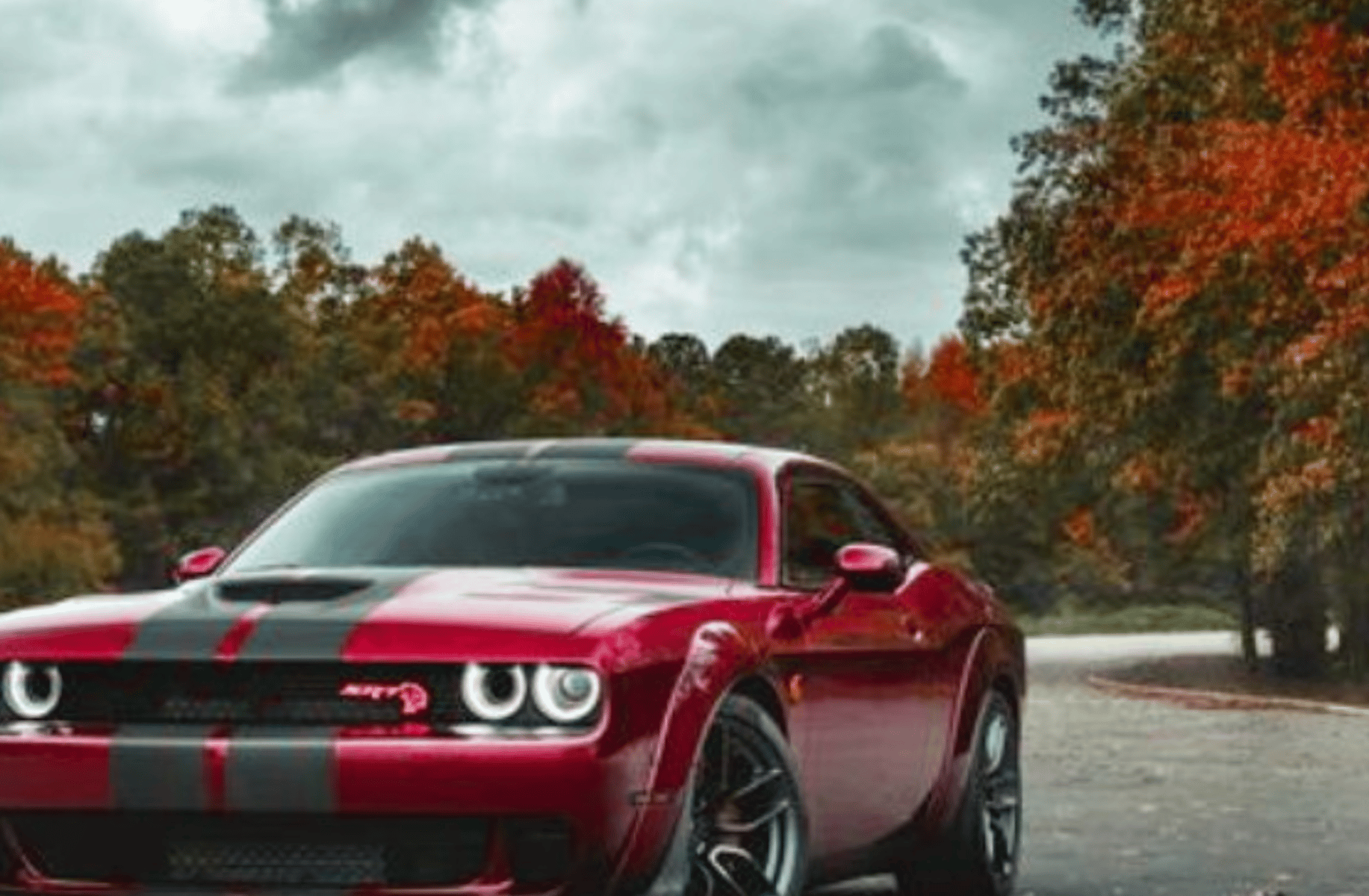 Hellcat