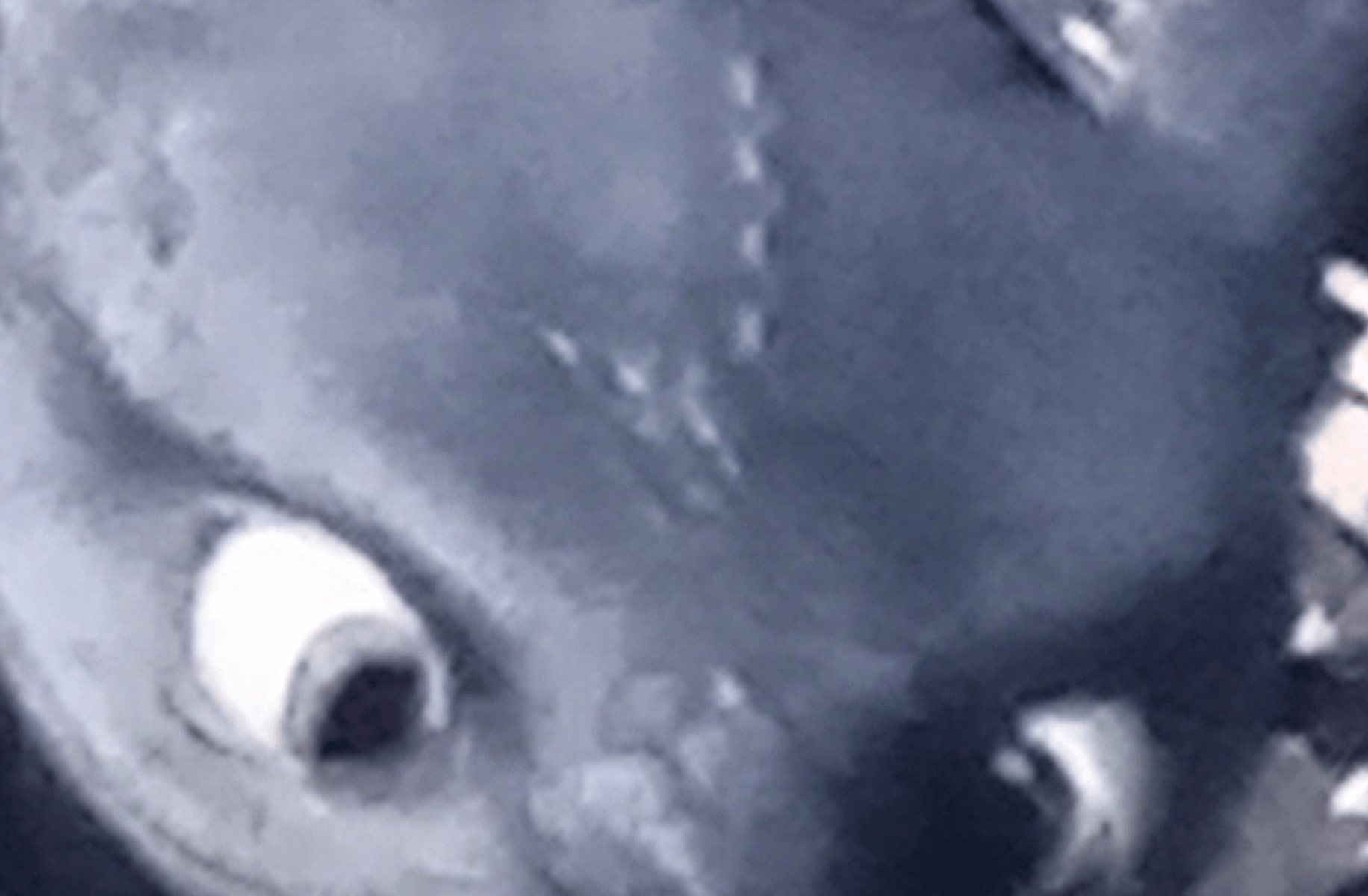 Toothless