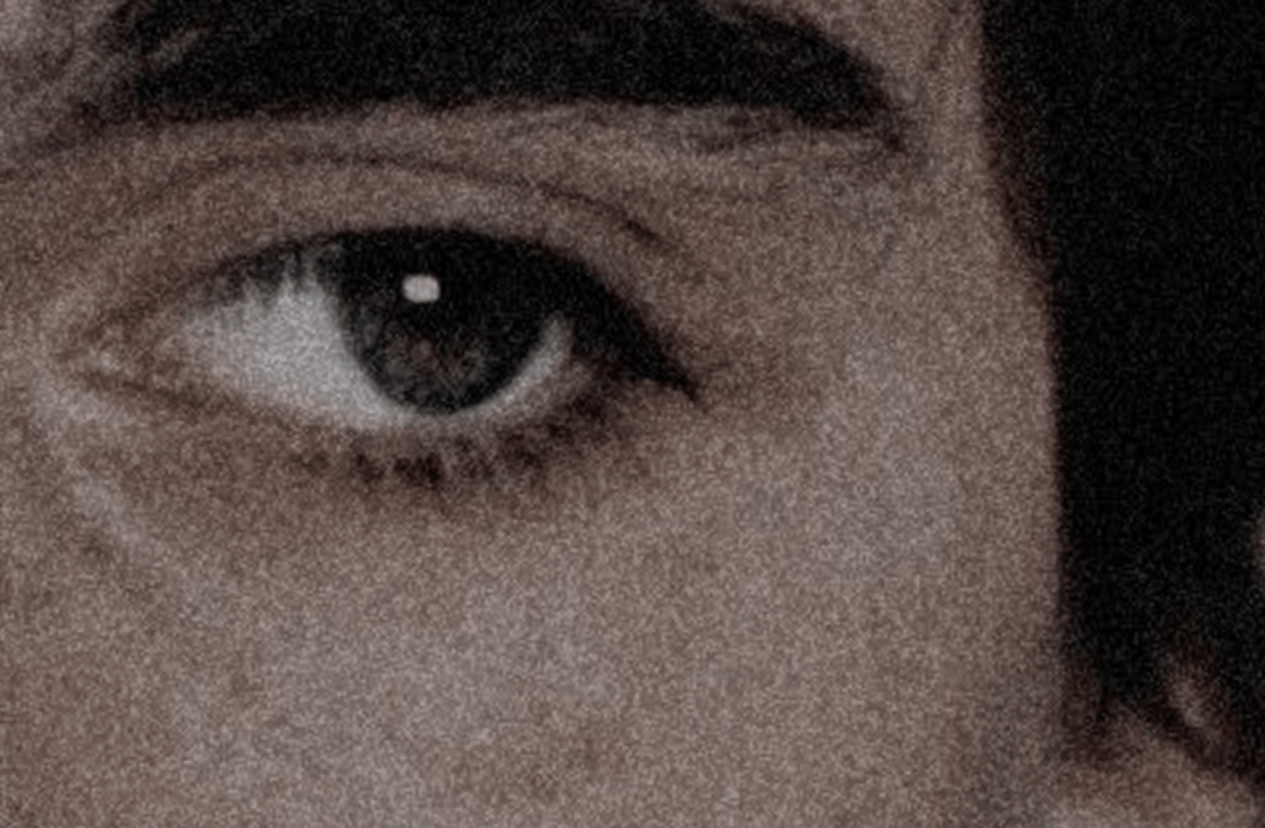 Regulus Black