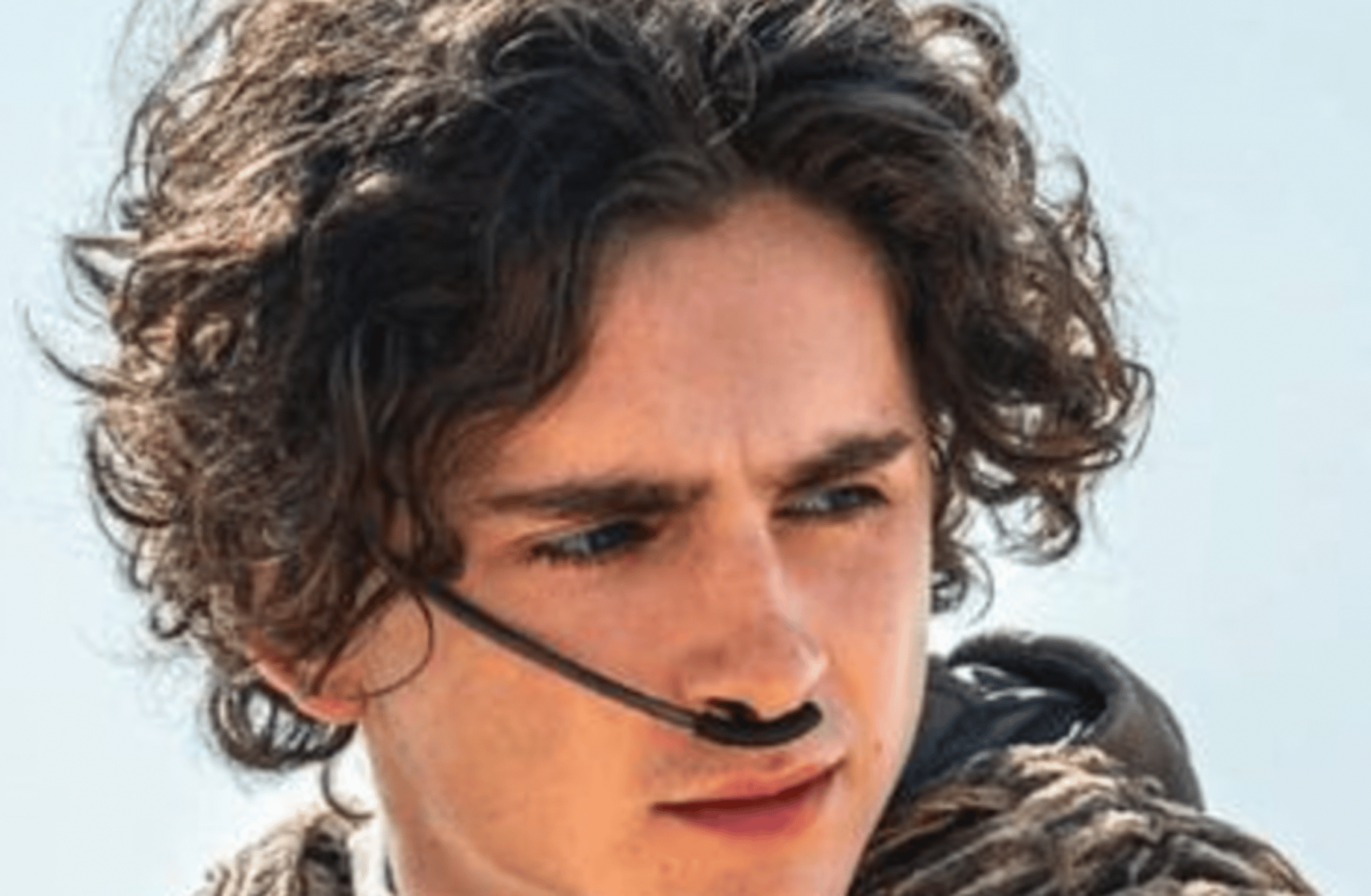 Paul Atreides