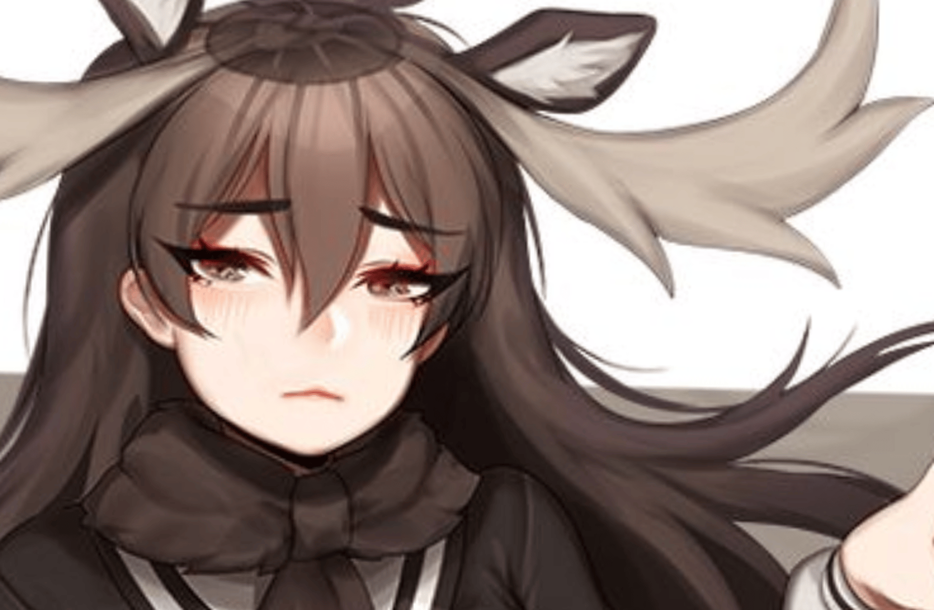 Moose-chan