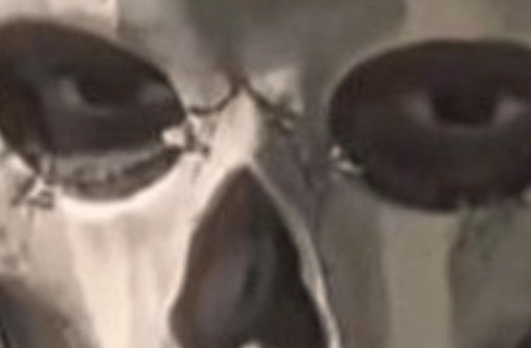 Simon Ghost Riley