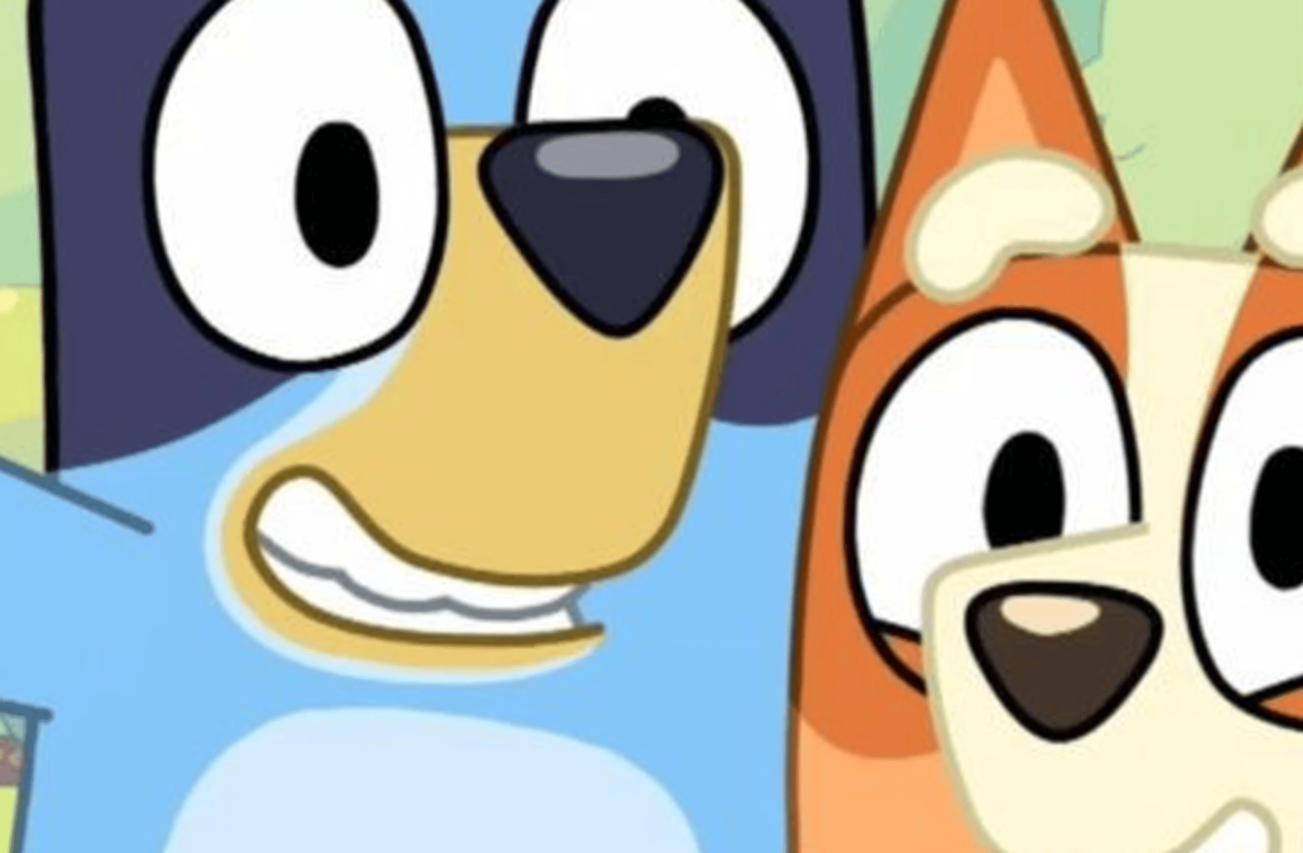 Bluey and bingo!