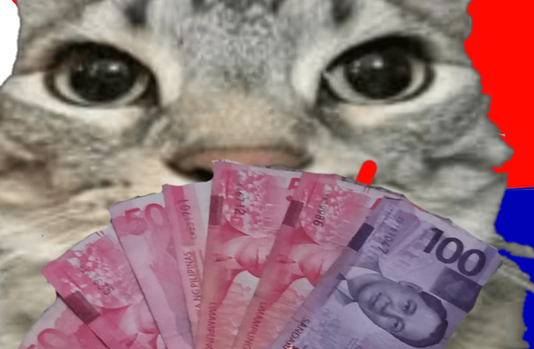 Roblox girl friend idk