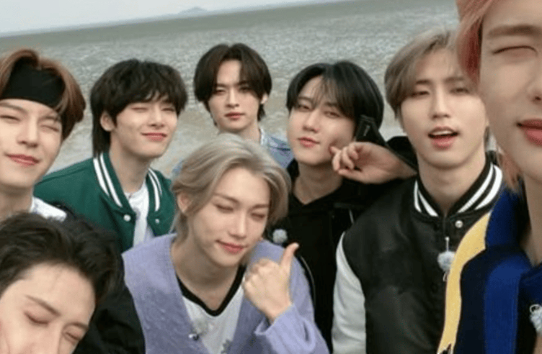 Skz (fight)