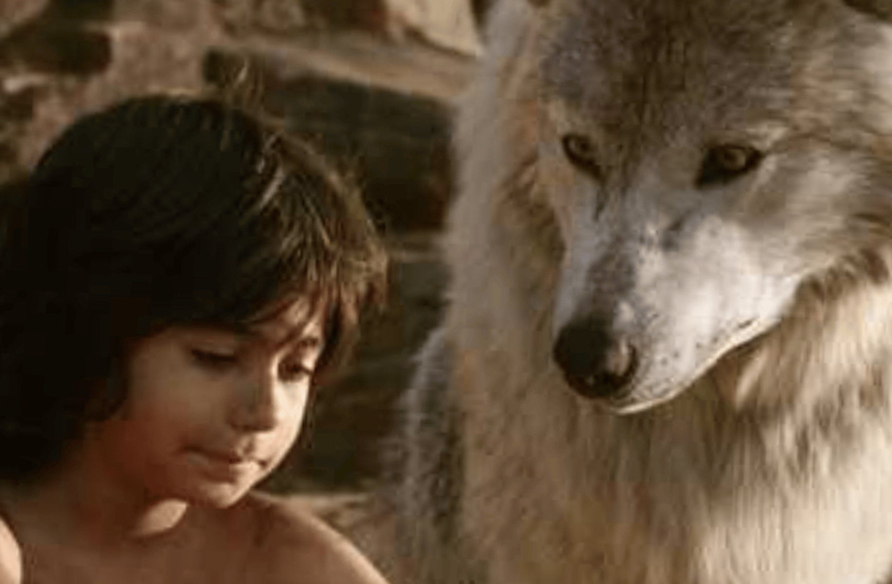 Raksha (jungle book)