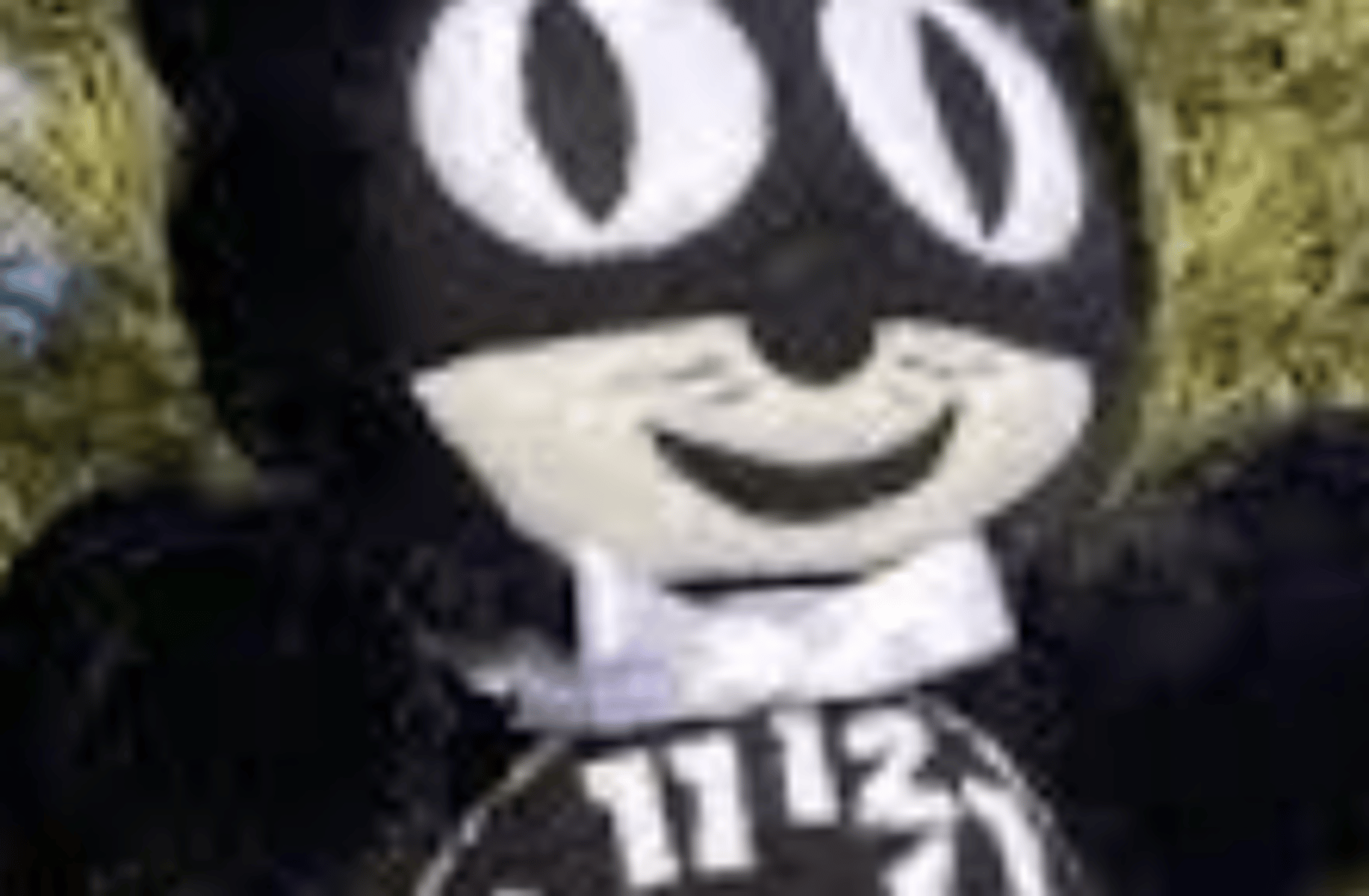 N Animini