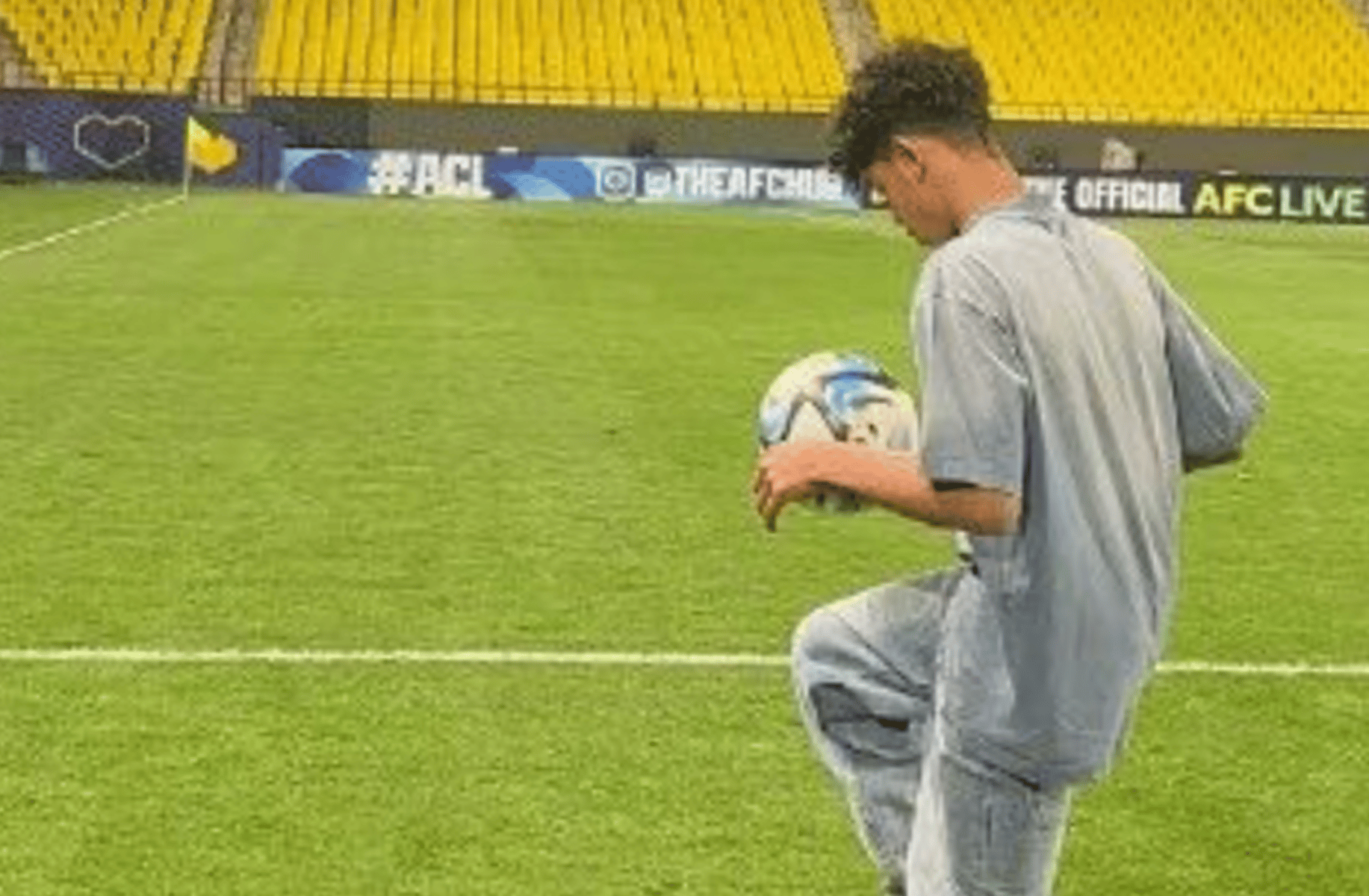Cris jr