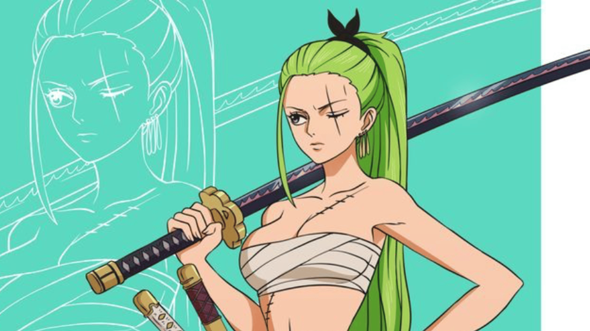 Fem zoro
