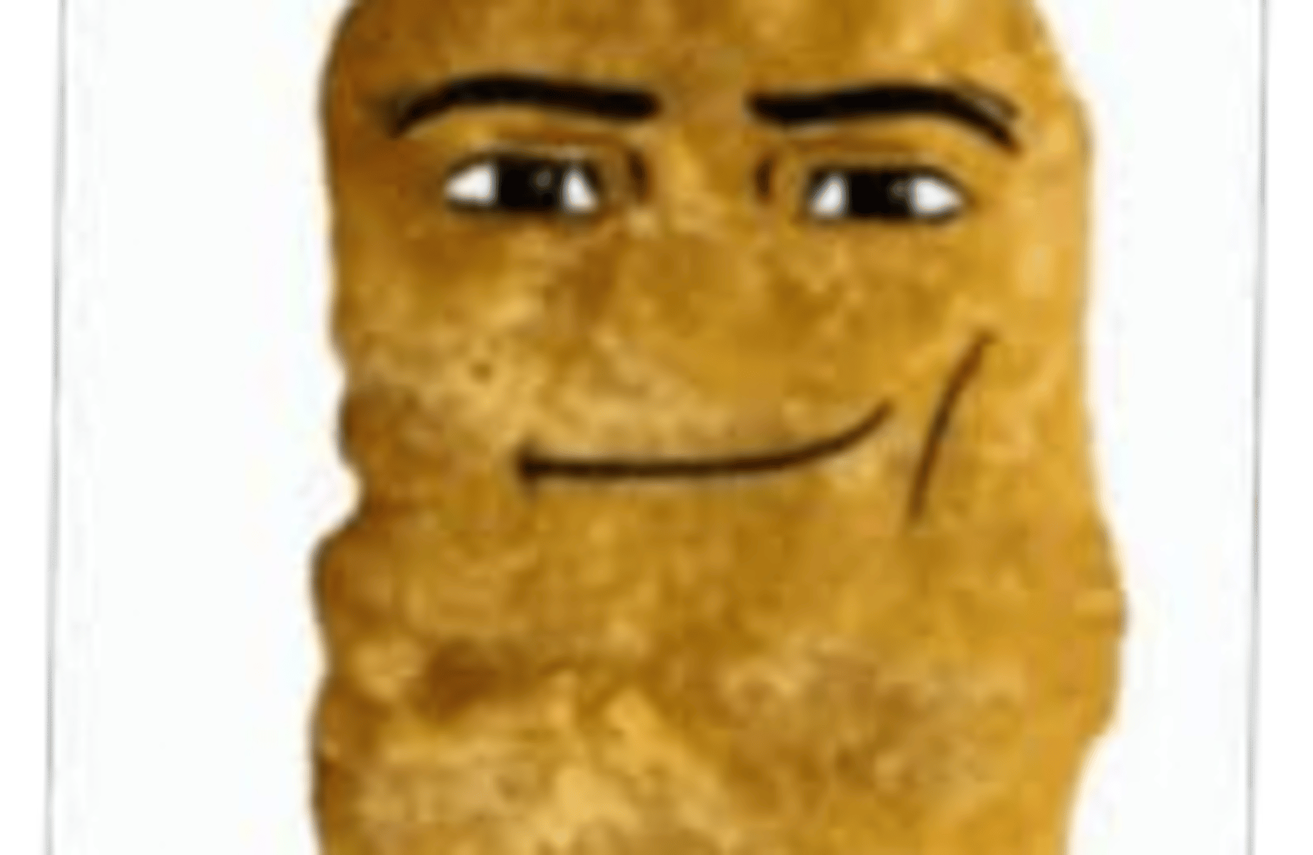 Mr. Nugget
