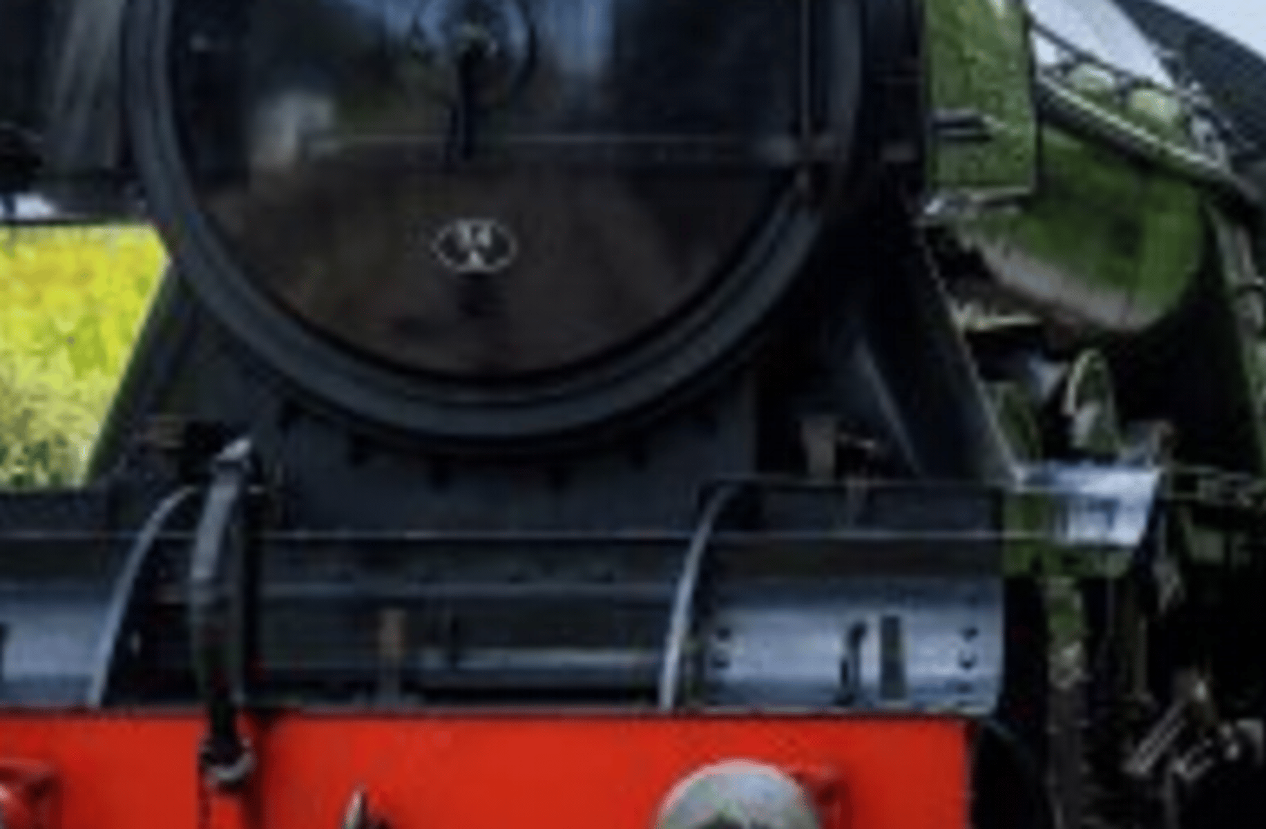 Fang Gresley The Wolf